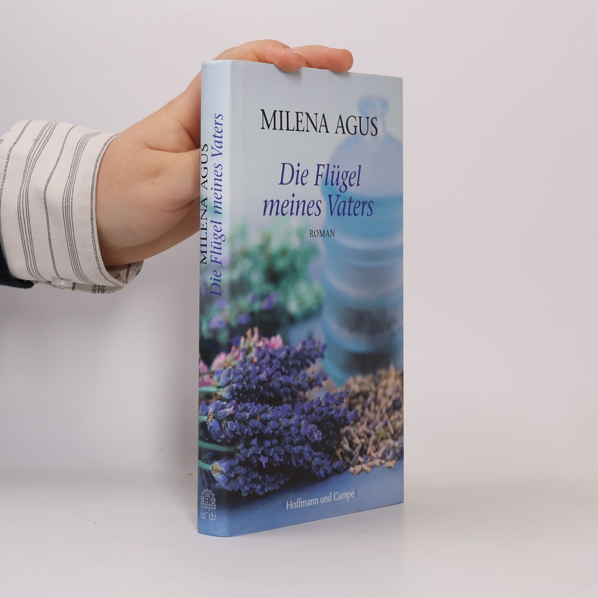 Milena Agus Die Flügel meines Vaters