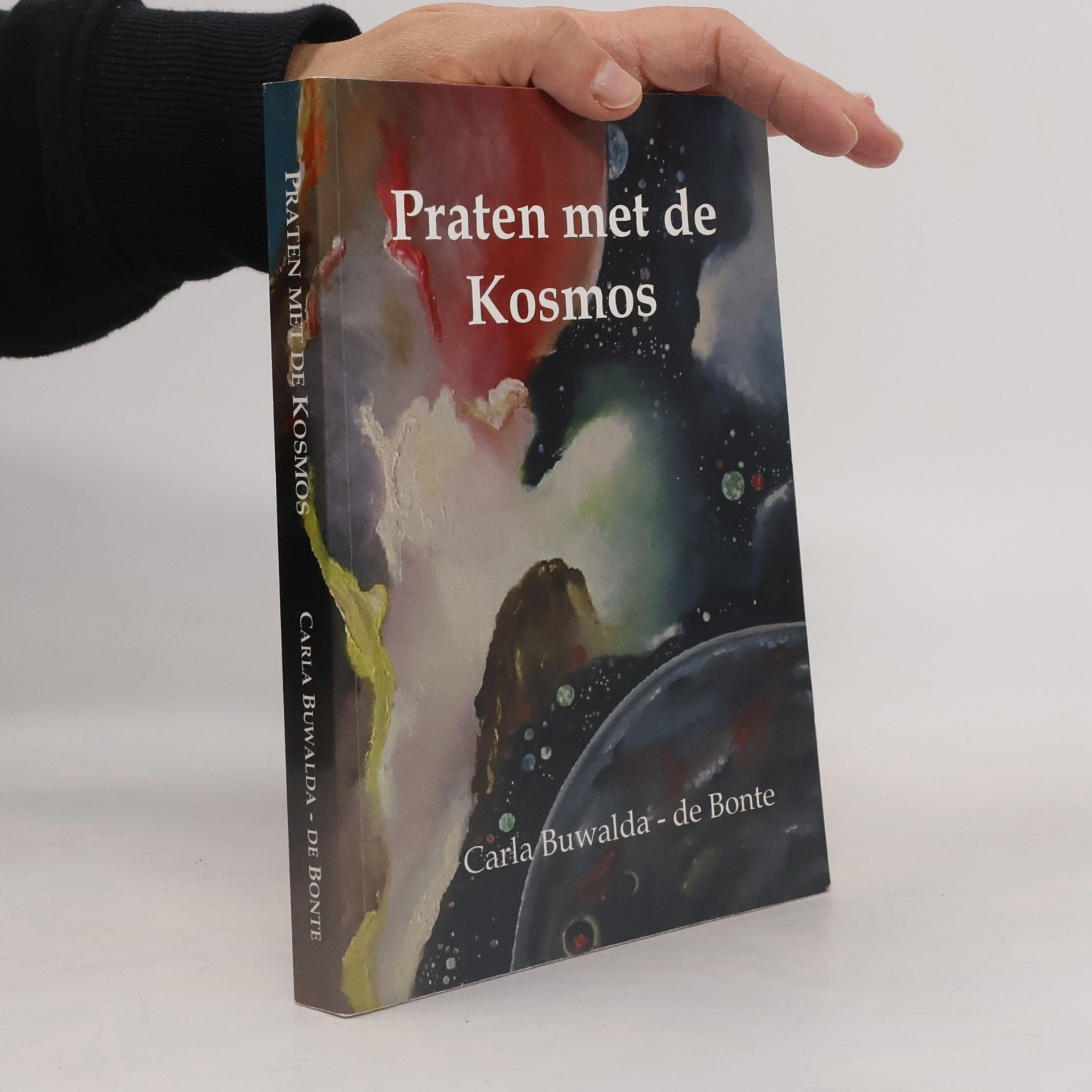 Daniélle Stinissen Praten met de Kosmos