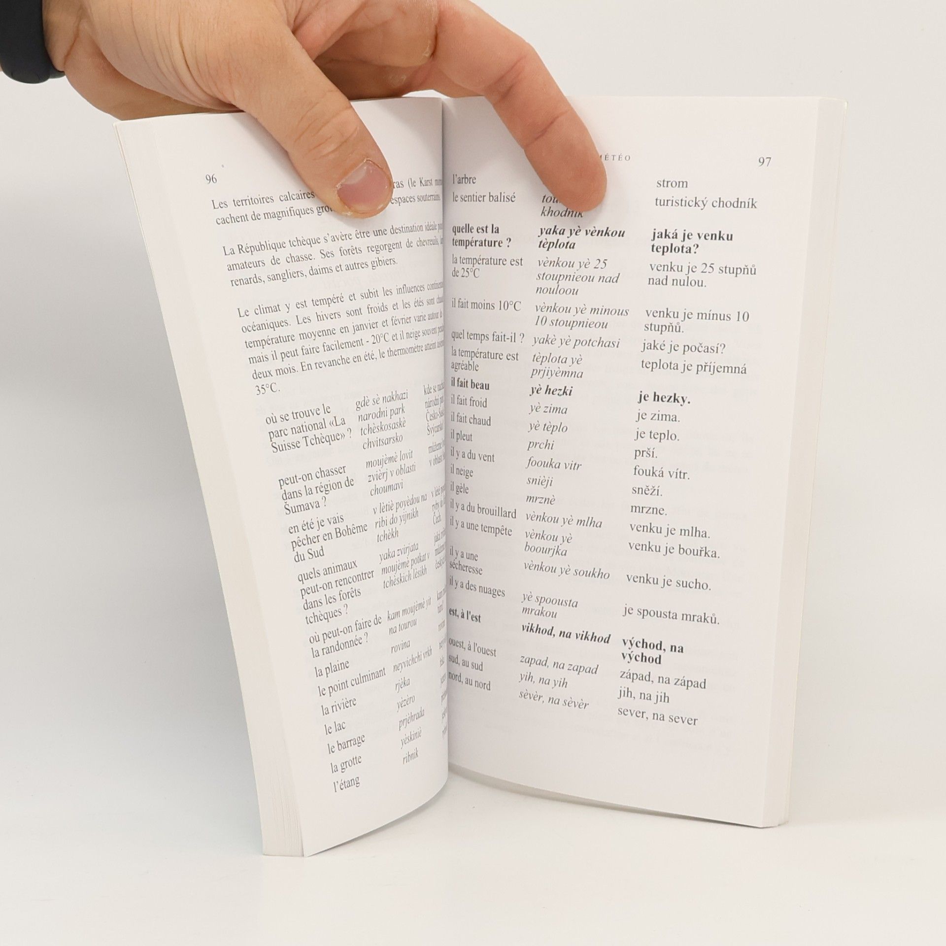 Elvíra Palíková Tchèque express. Guide de conversation. Les premiers mots utiles. Grammaire. Renseignements pratiques. Dictionnaire