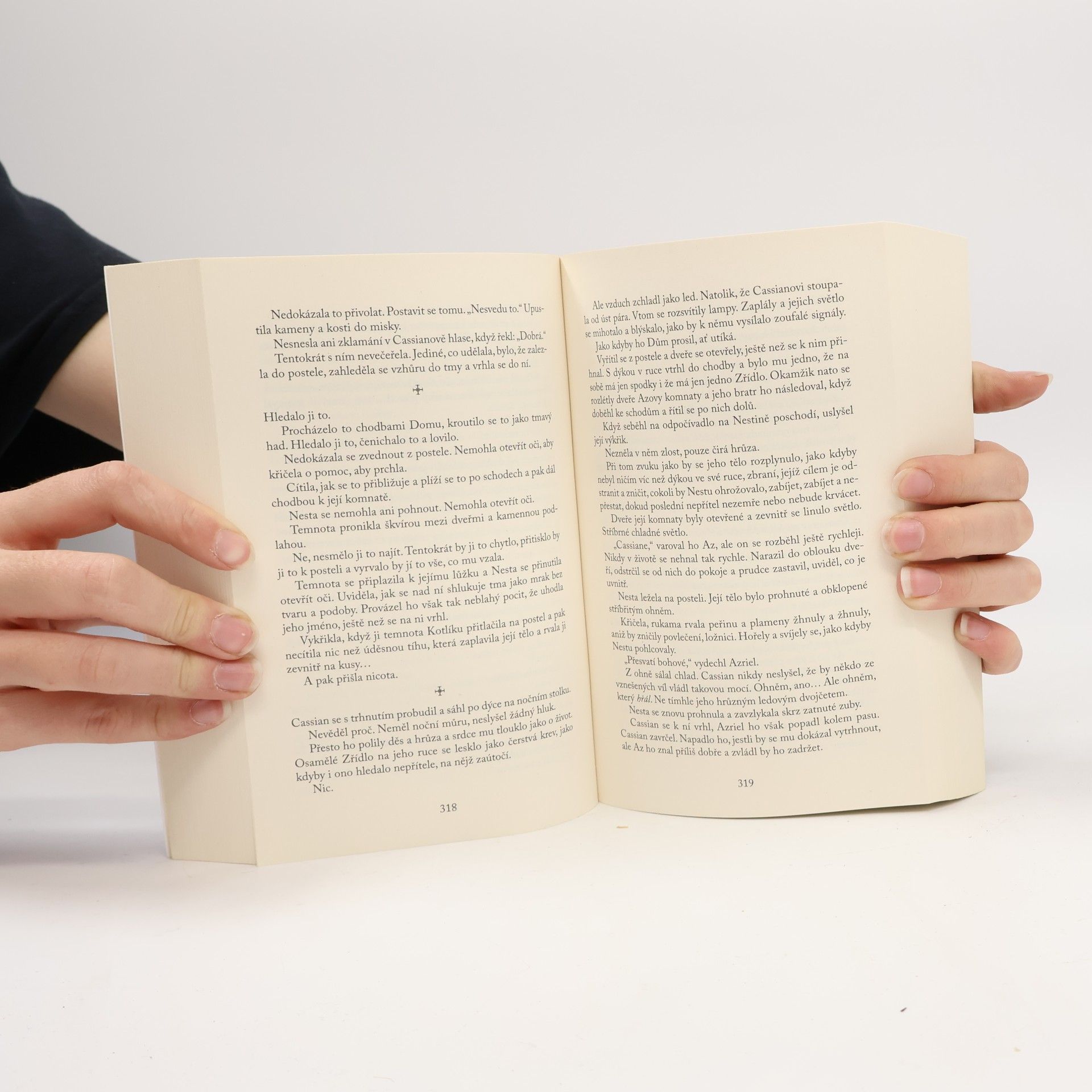Sarah J. Maas Dvůr stříbrných plamenů