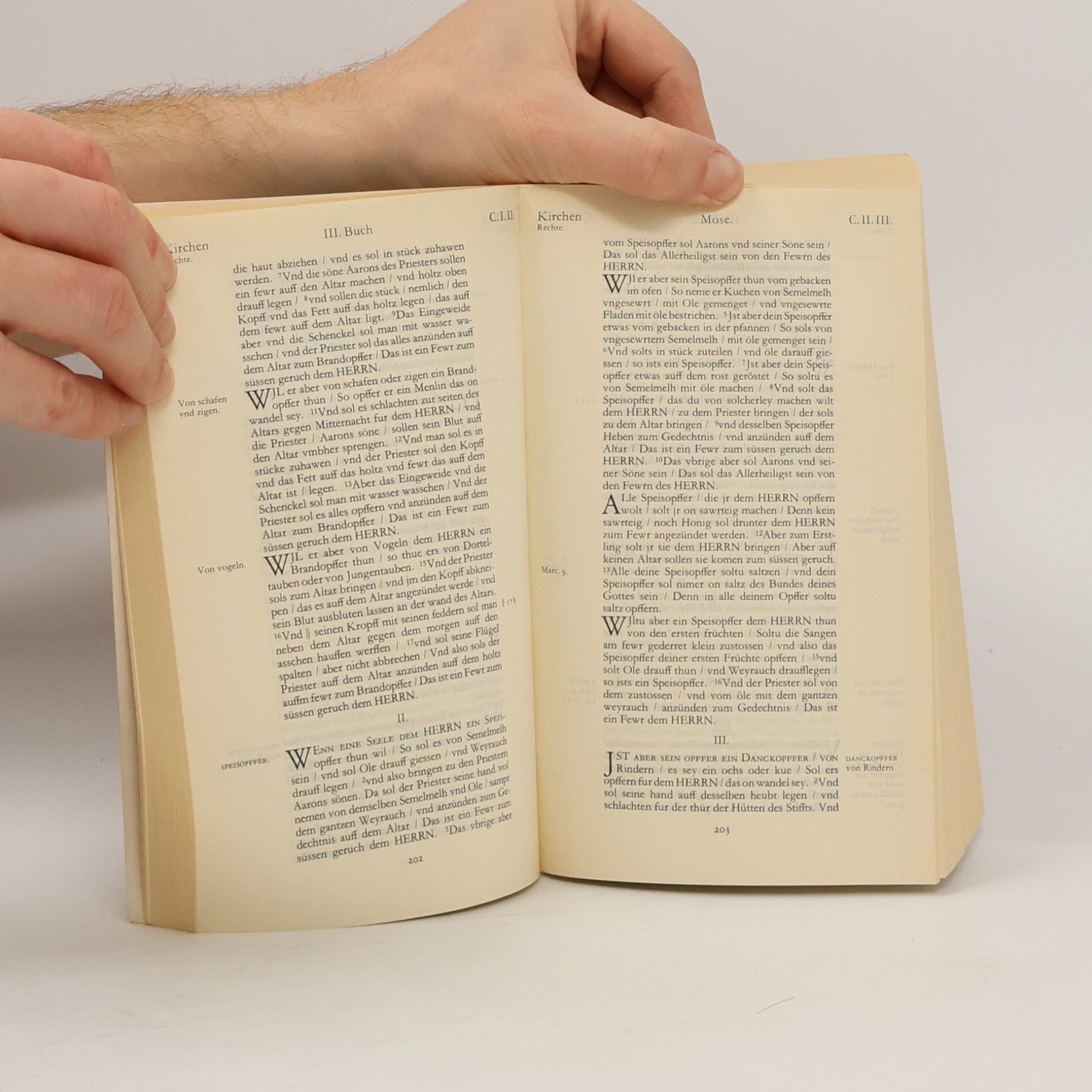Martin Luther Biblia. Das ist. Die gantze Heilige Schrifft