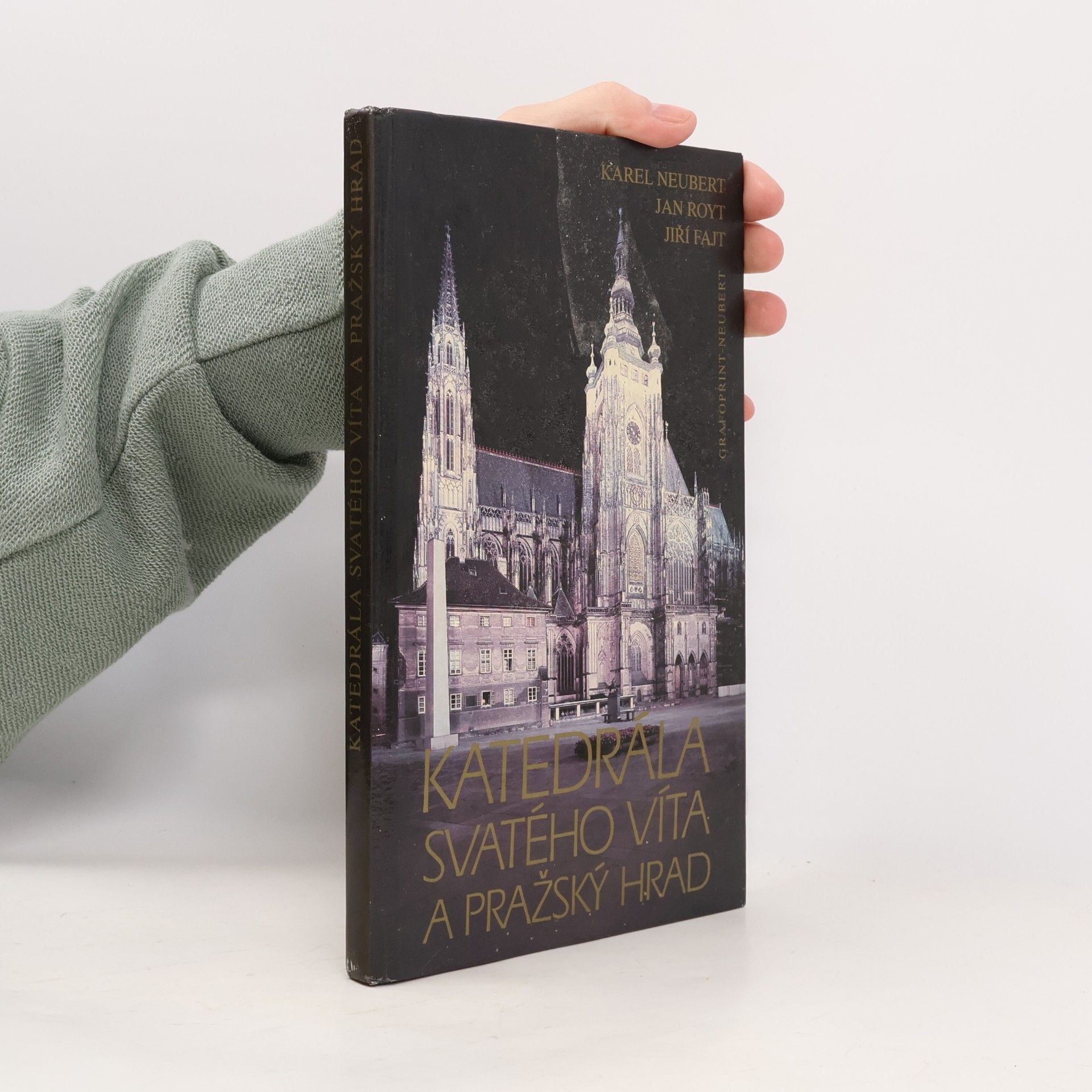 Jan Royt Katedrála svatého Víta a Pražský hrad