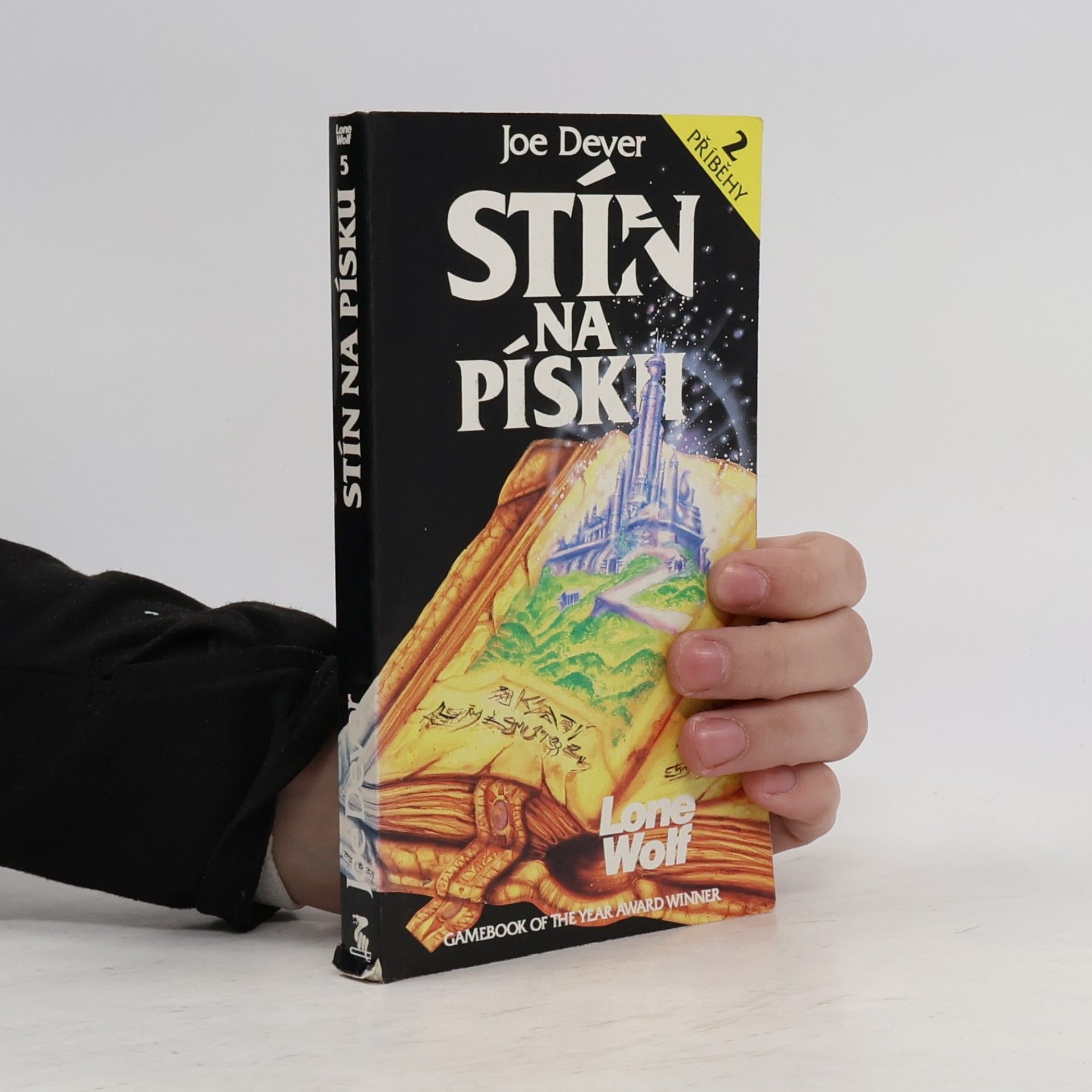 Stín na písku