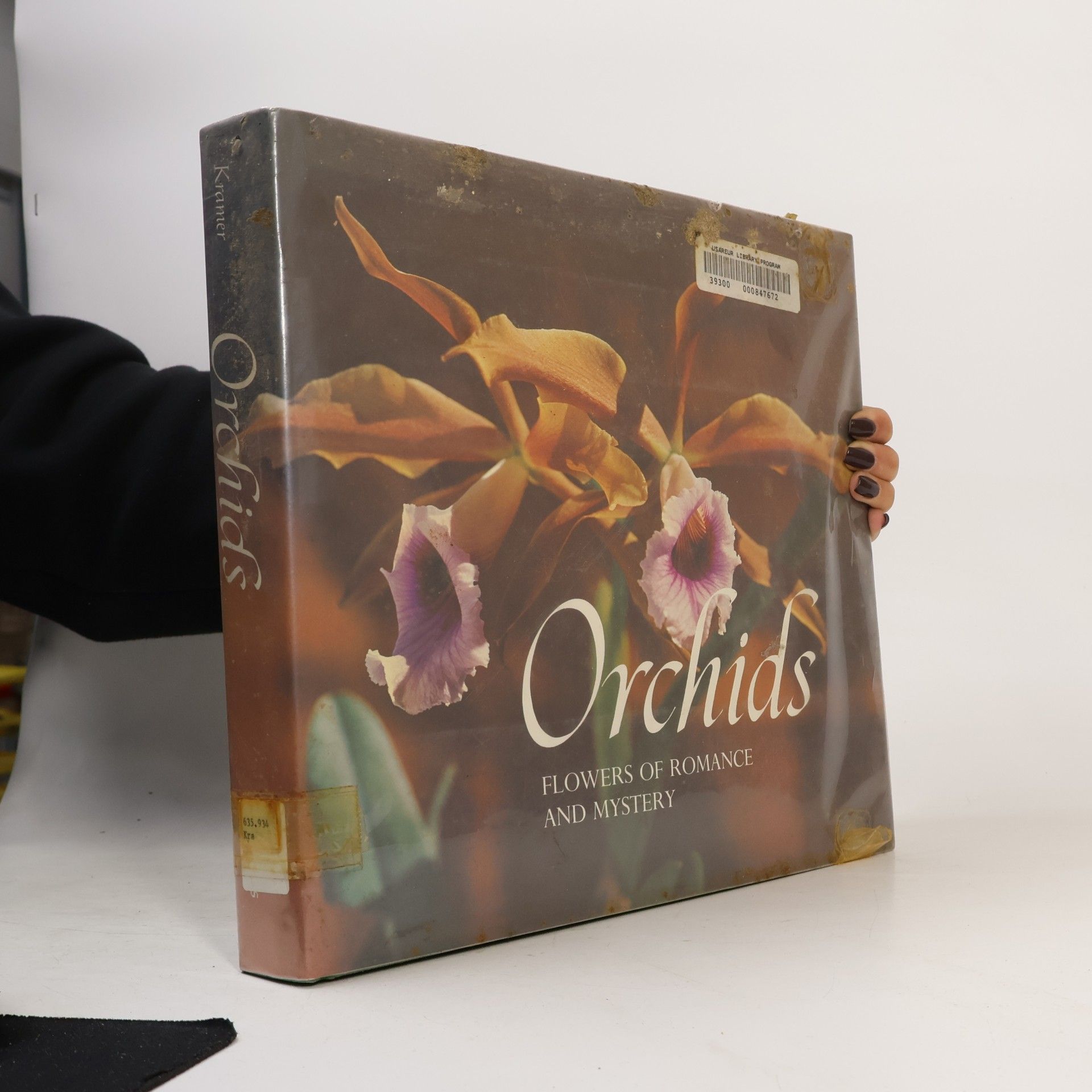 Orchids