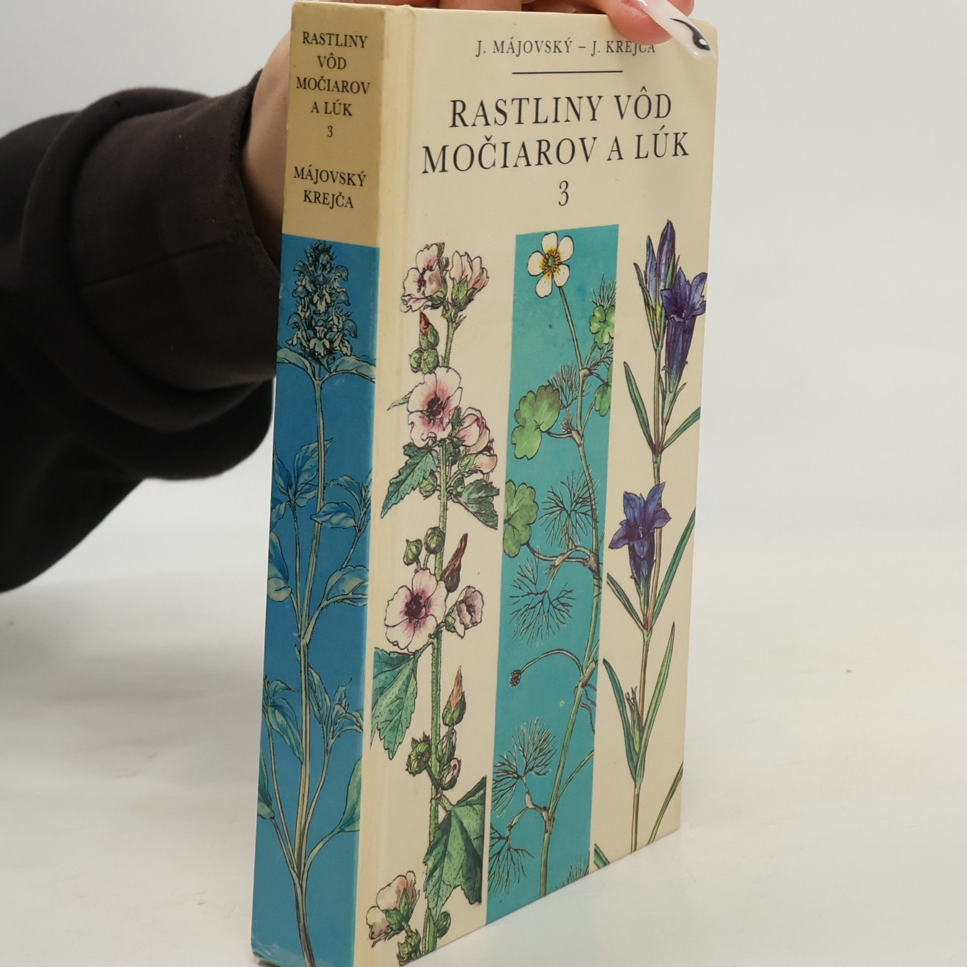 Rastliny vôd močiarov a lúk 3