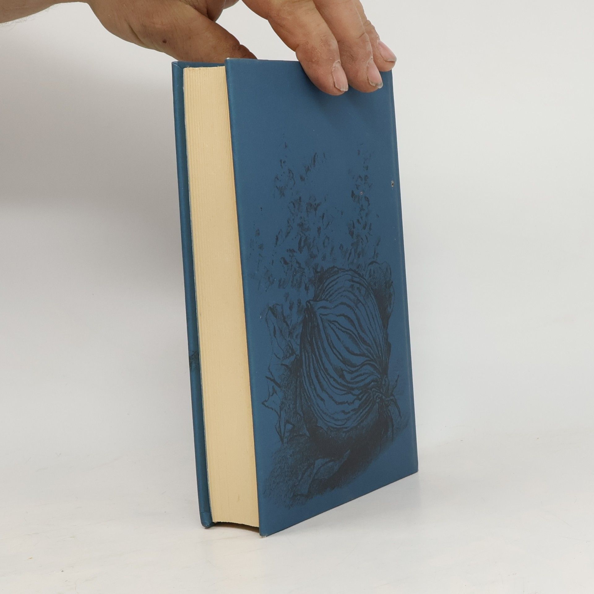 Günter Grass Při loupání cibule
