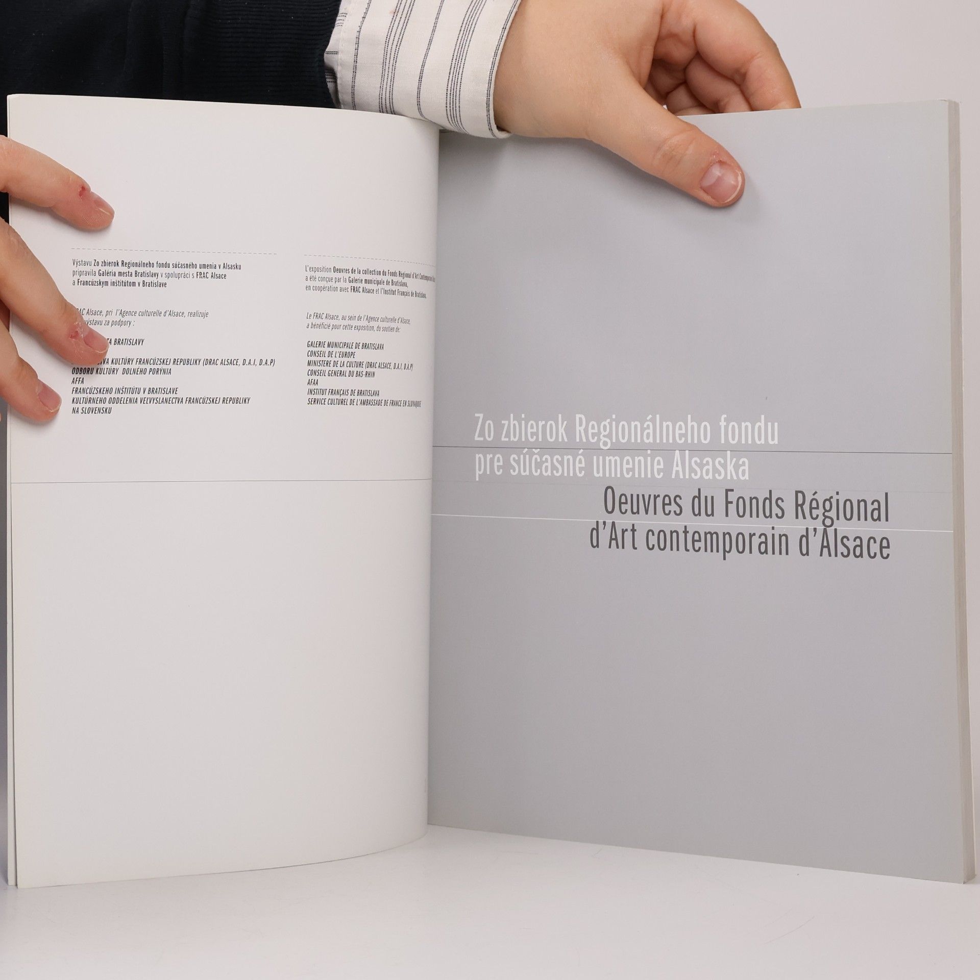 Kolektív autorov Zo zbierok Regionálneho fondu pre súčasné umenie Alsaska / Oeuvres du Fonds Régional d'Art contemporain d'Alsace