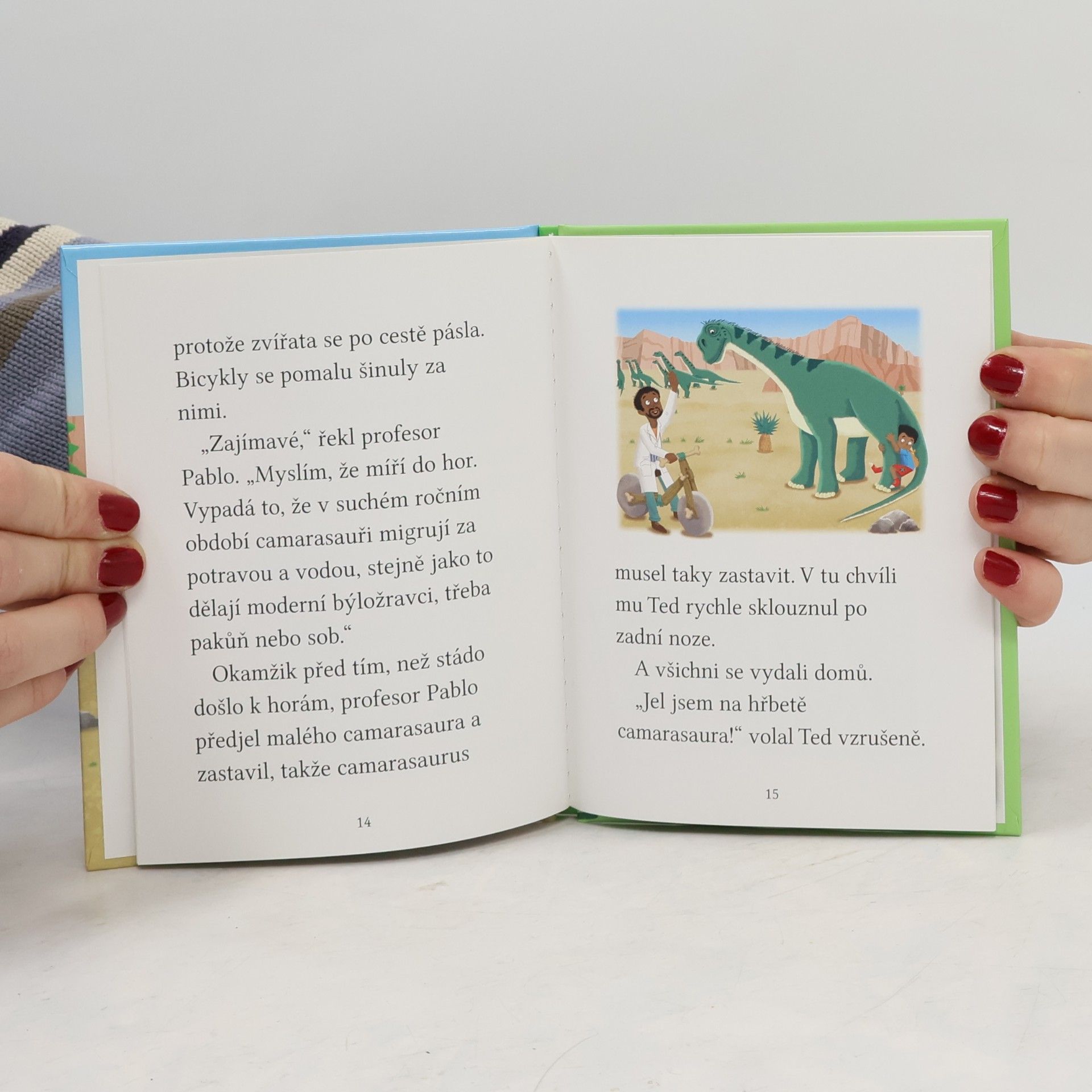 Cressida Cowell Dobrodružství Stromovic dvojčat 4
