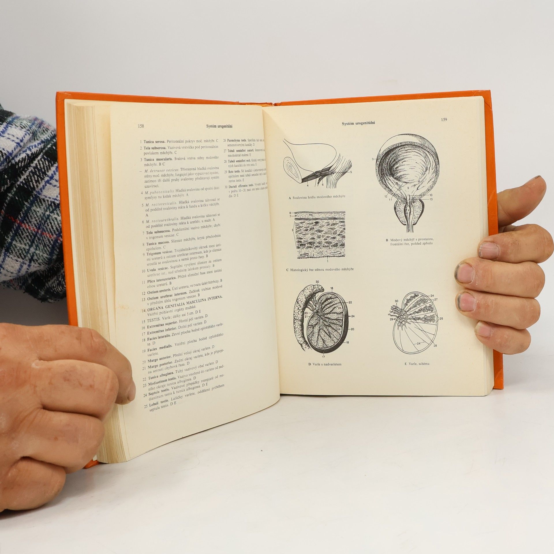 Heinz Feneis Anatomický obrazový slovník