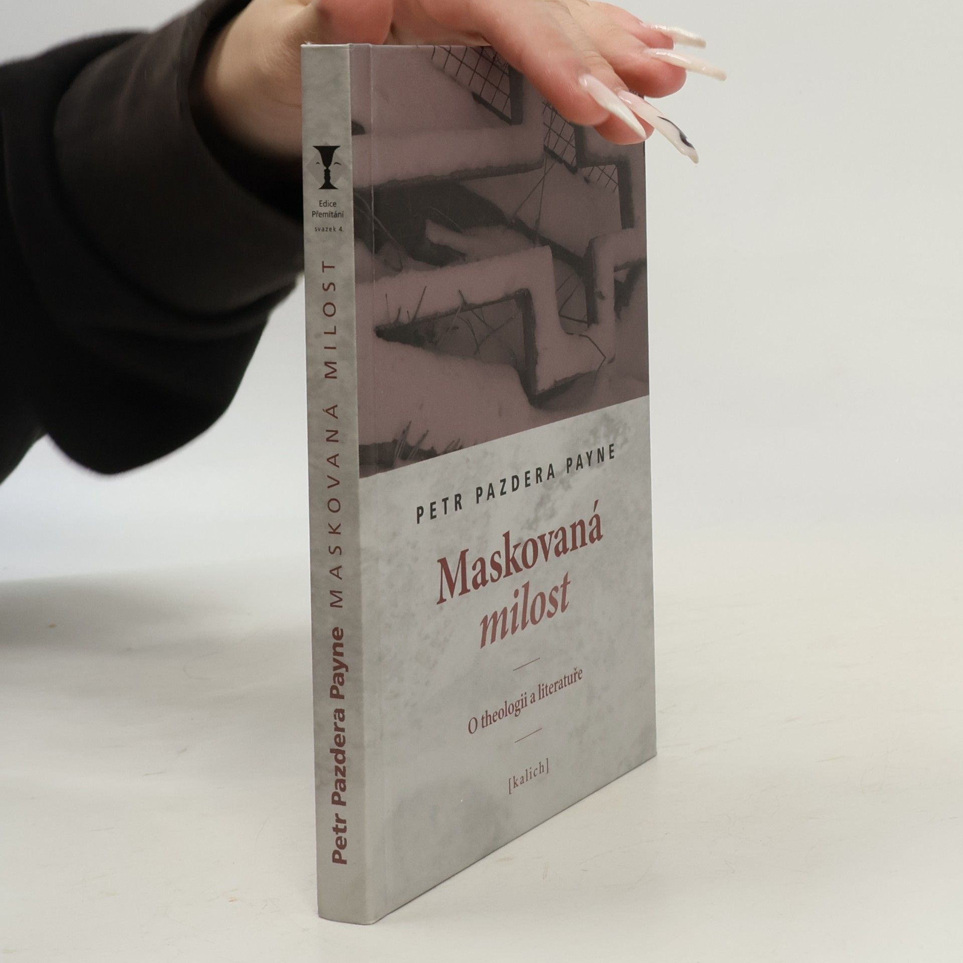 Maskovaná milost : o theologii a literatuře