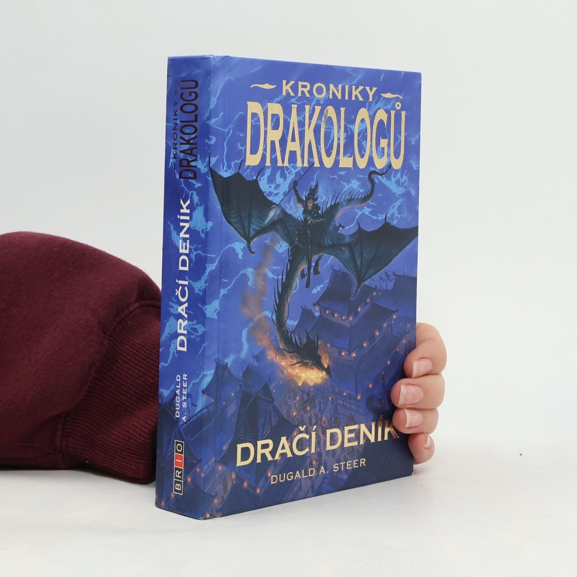 Dugald A. Steer Dračí deník