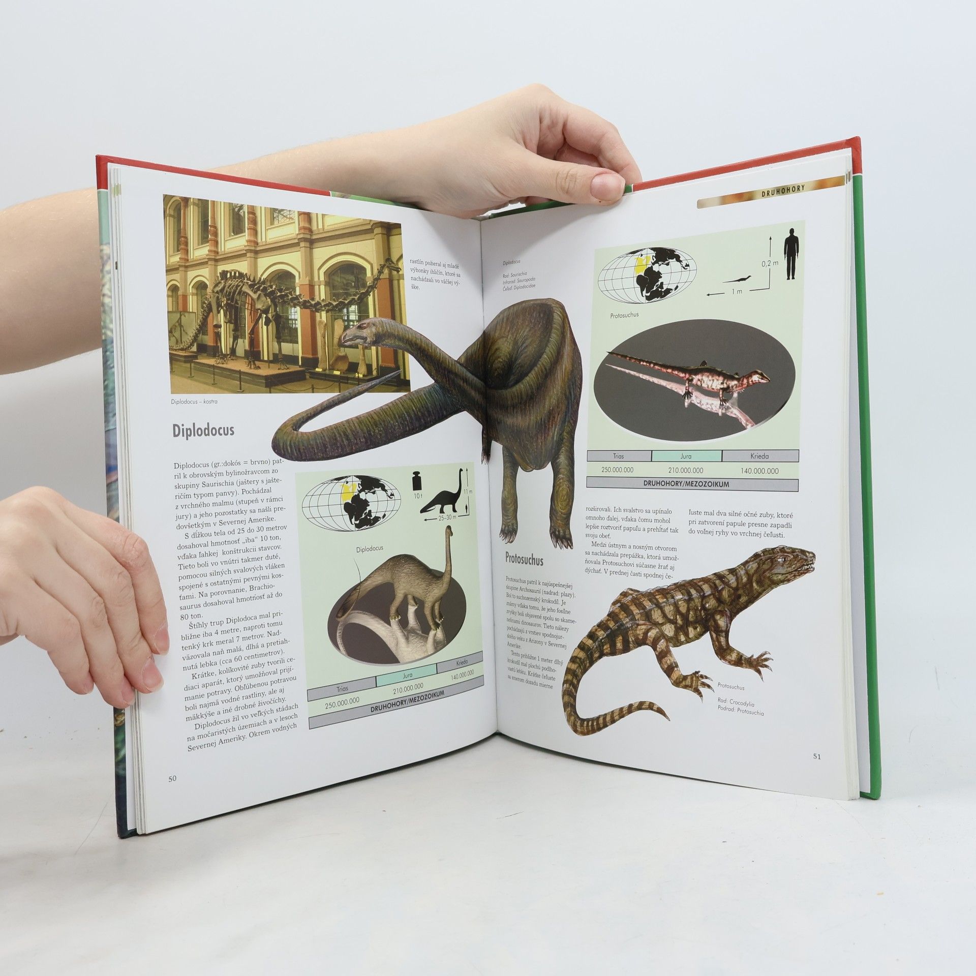 Autores varios Dinosaury