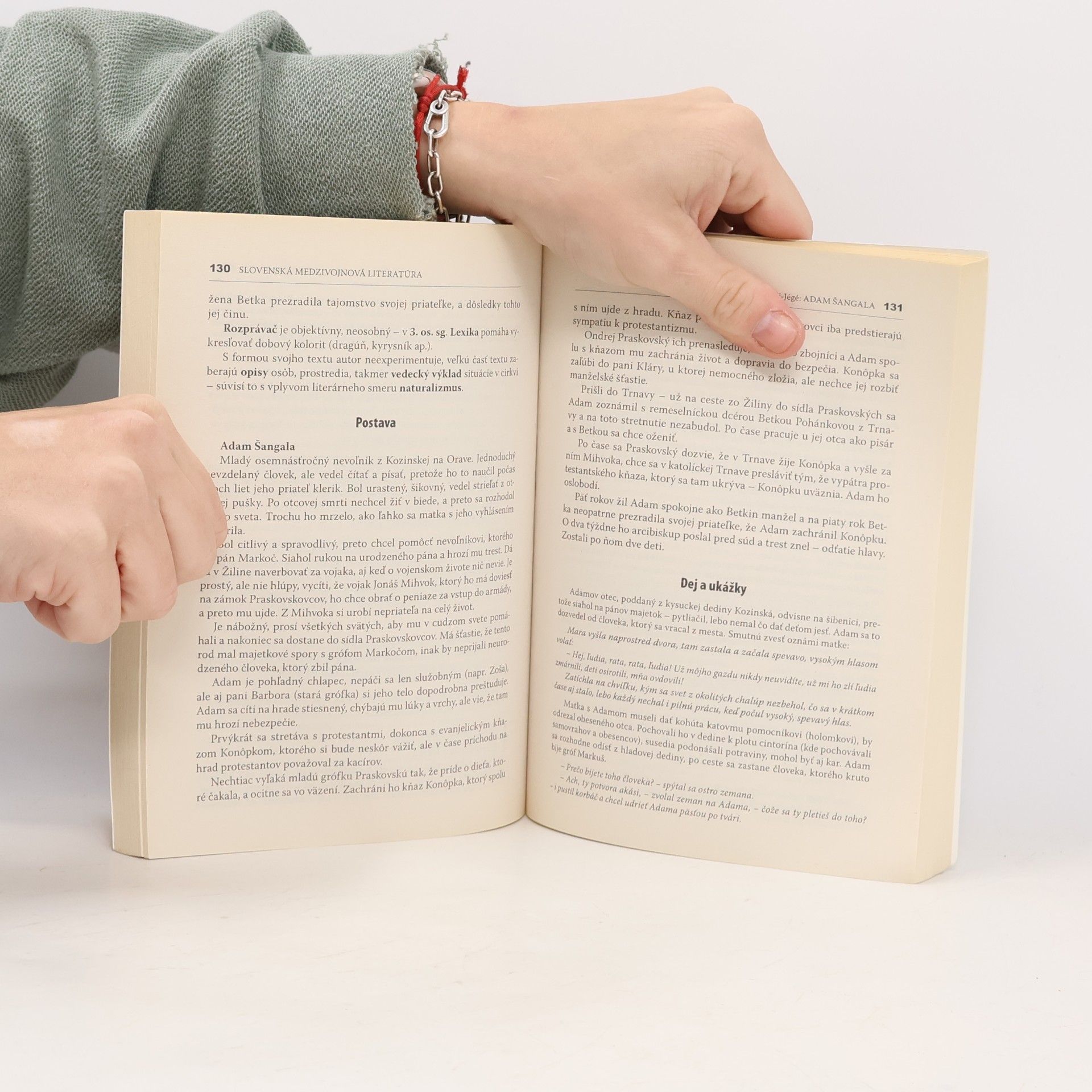 Milada Caltíková Sprievodca dielami slovenskej a svetovej literatúry