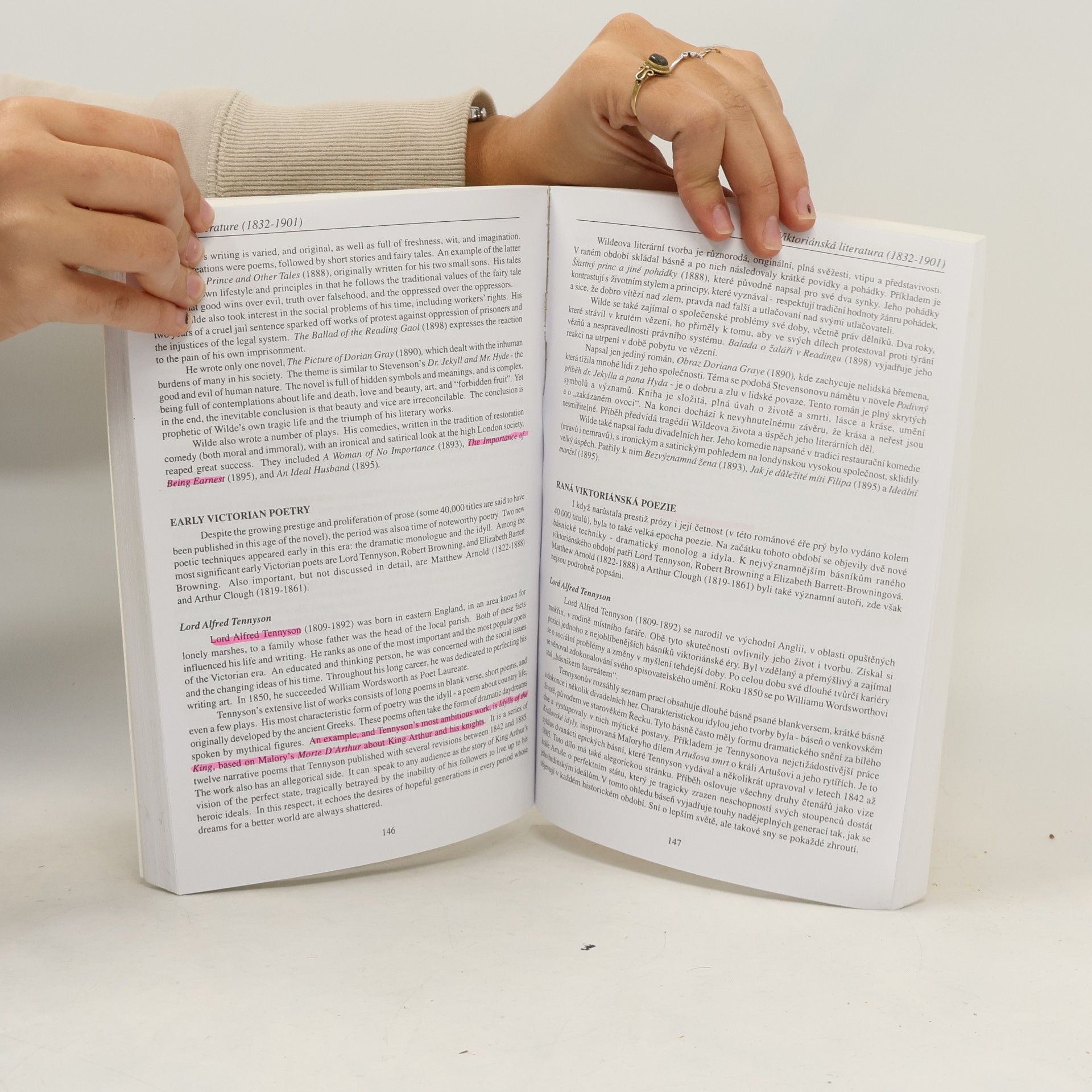 Eva Peck Anglická literatura. Panorama of English literature