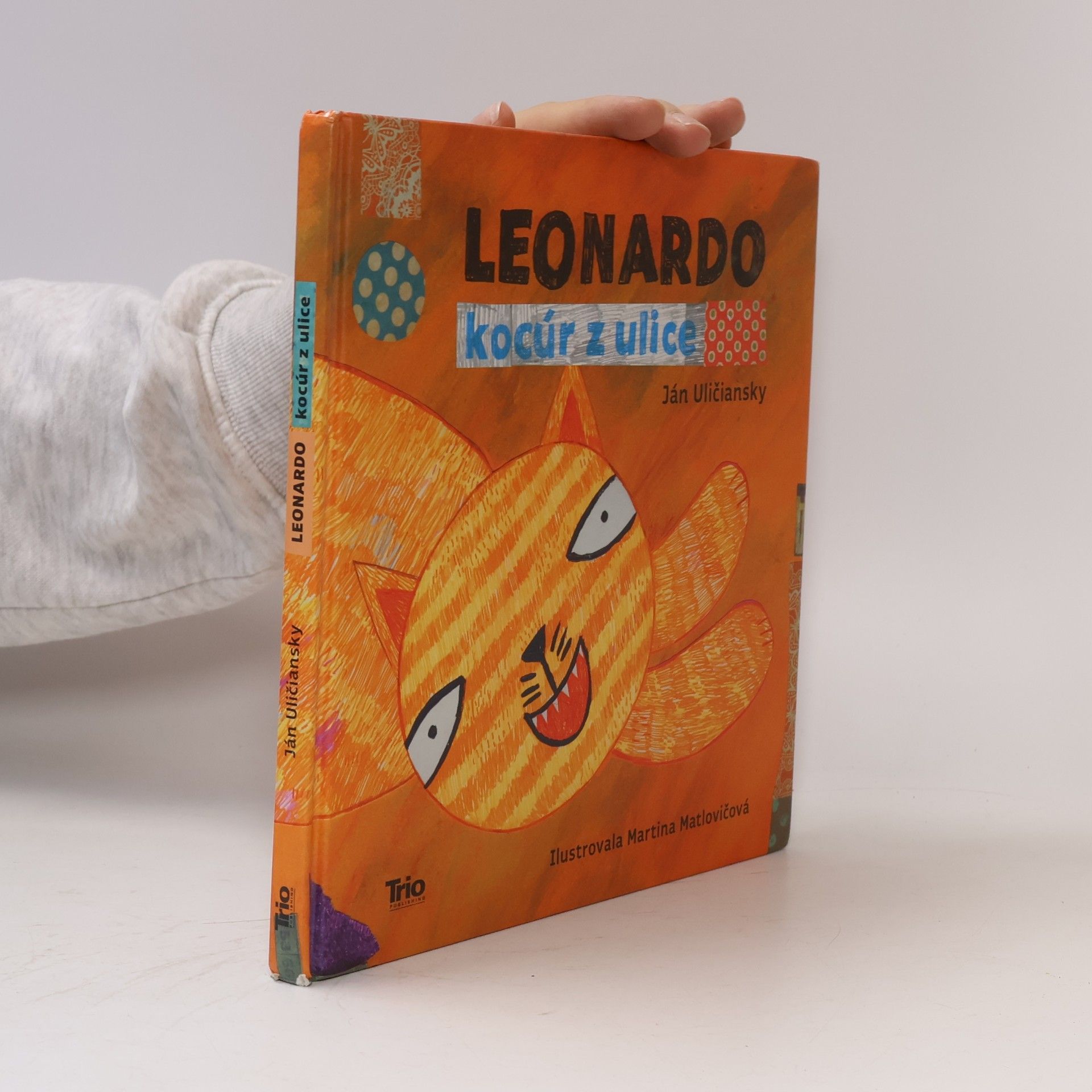 Leonardo: Kocúr z ulice