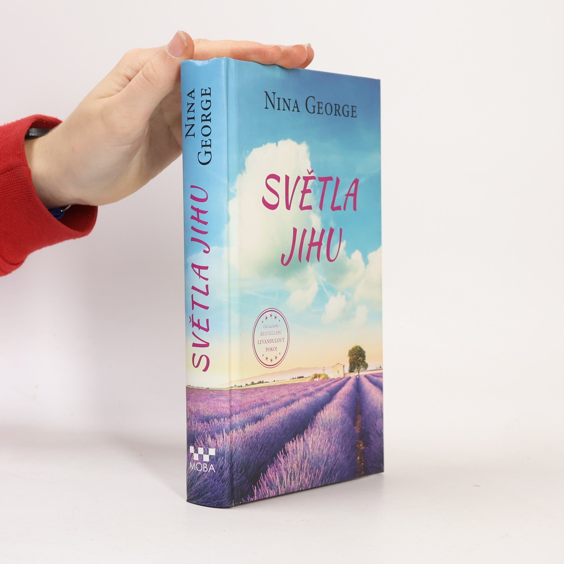 Dagmar Hoangová Světla jihu