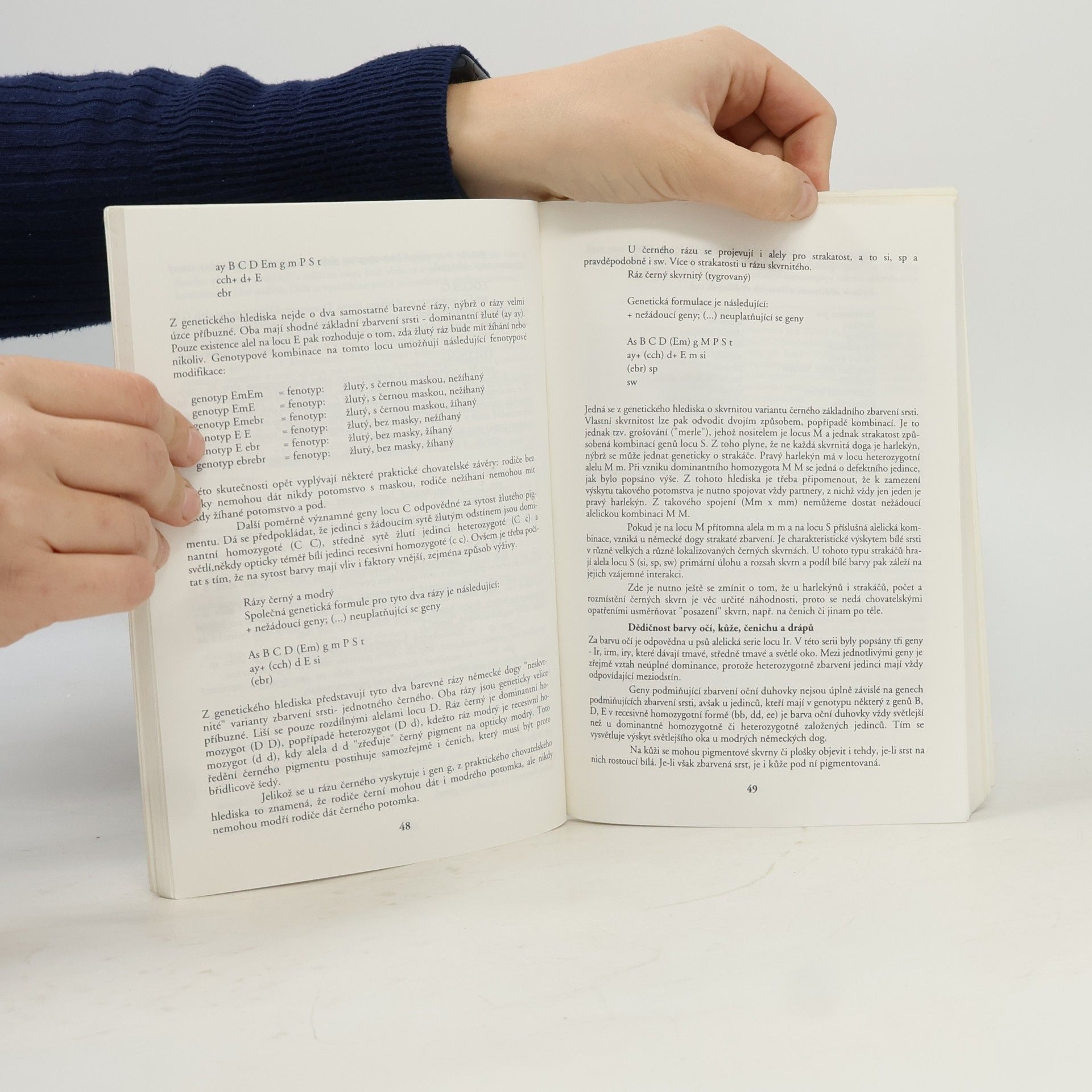 Autorenkollektiv Německá doga - chovatelská příručka