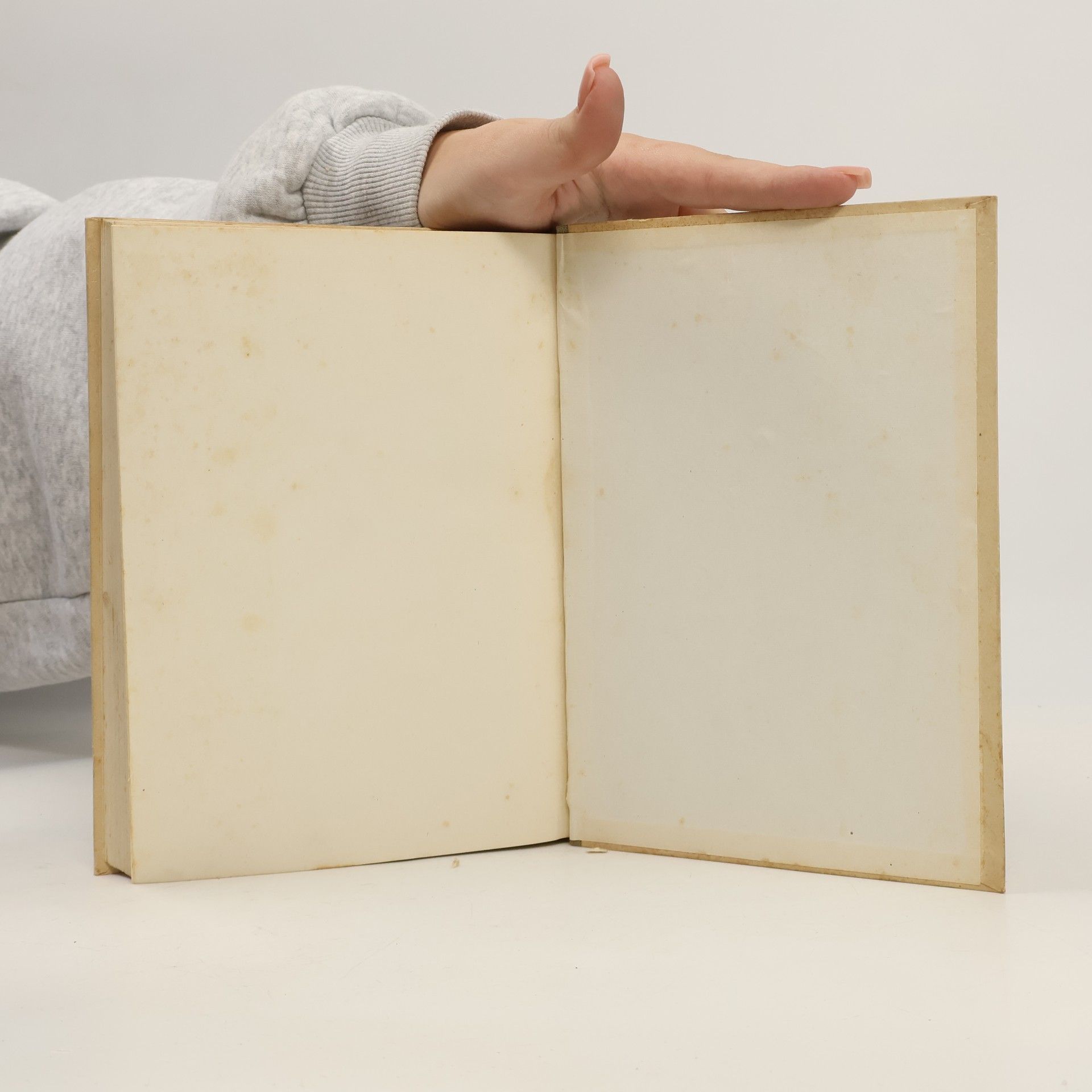 Arthur Rimbaud Dielo