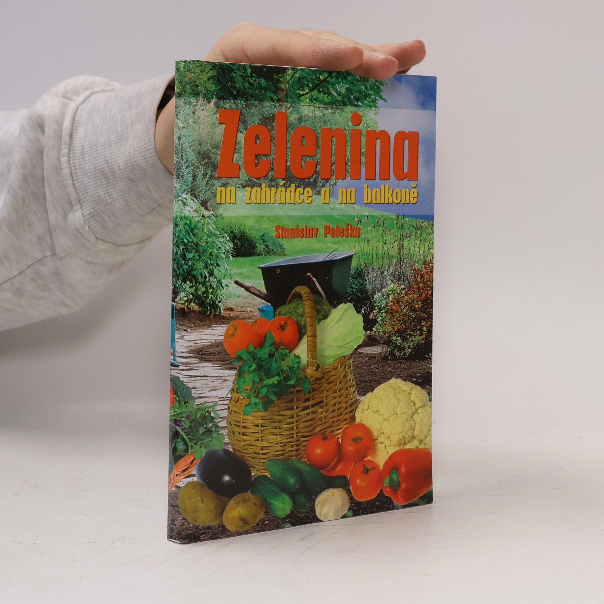 Zelenina na zahrádce a na balkoně