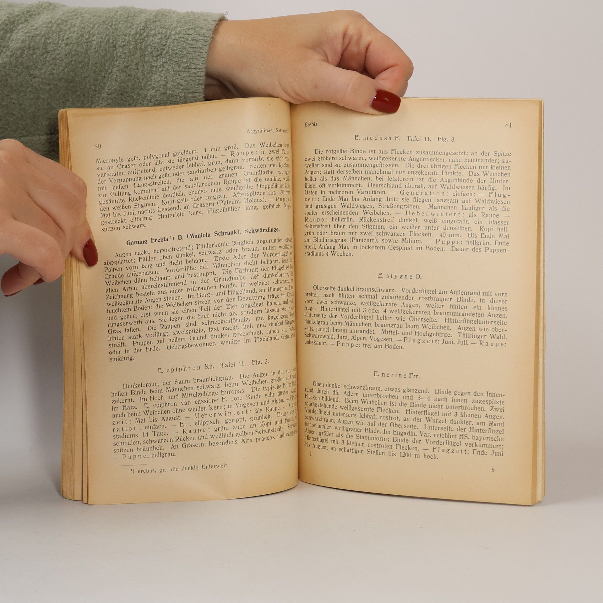 Karl A. Eckstein Die Schmetterlinge Deutschlands mit besonderer Berücksichtigung der Biologie I.
