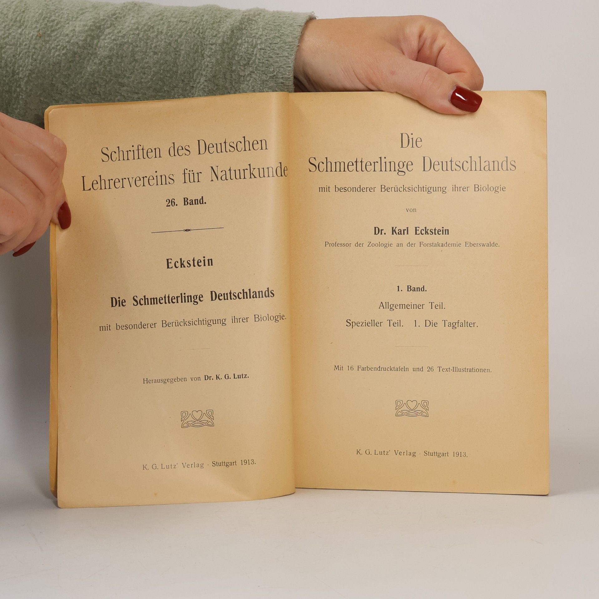 Karl A. Eckstein Die Schmetterlinge Deutschlands mit besonderer Berücksichtigung der Biologie I.