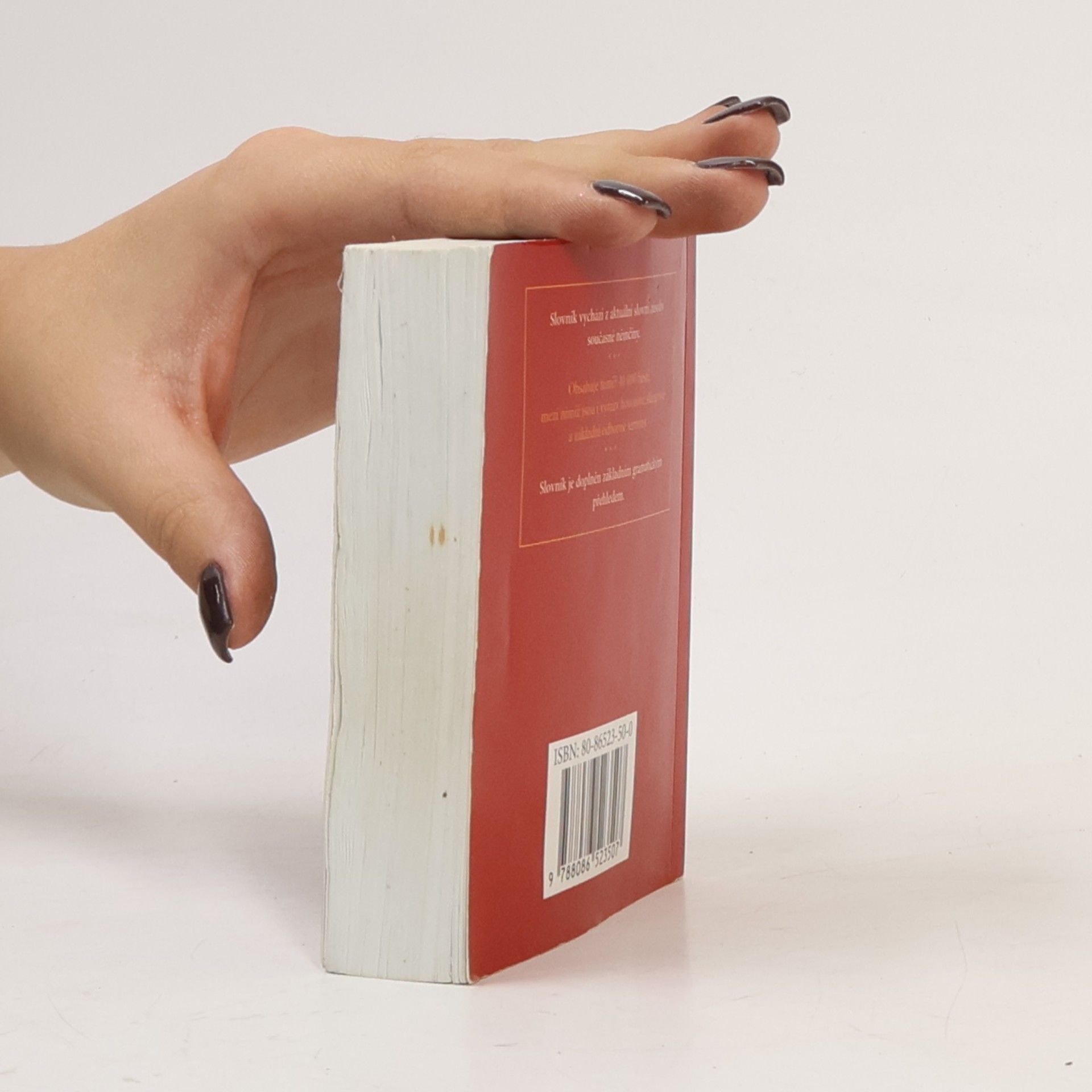 Autorenkollektiv Německo-český česko-německý slovník, kapesní