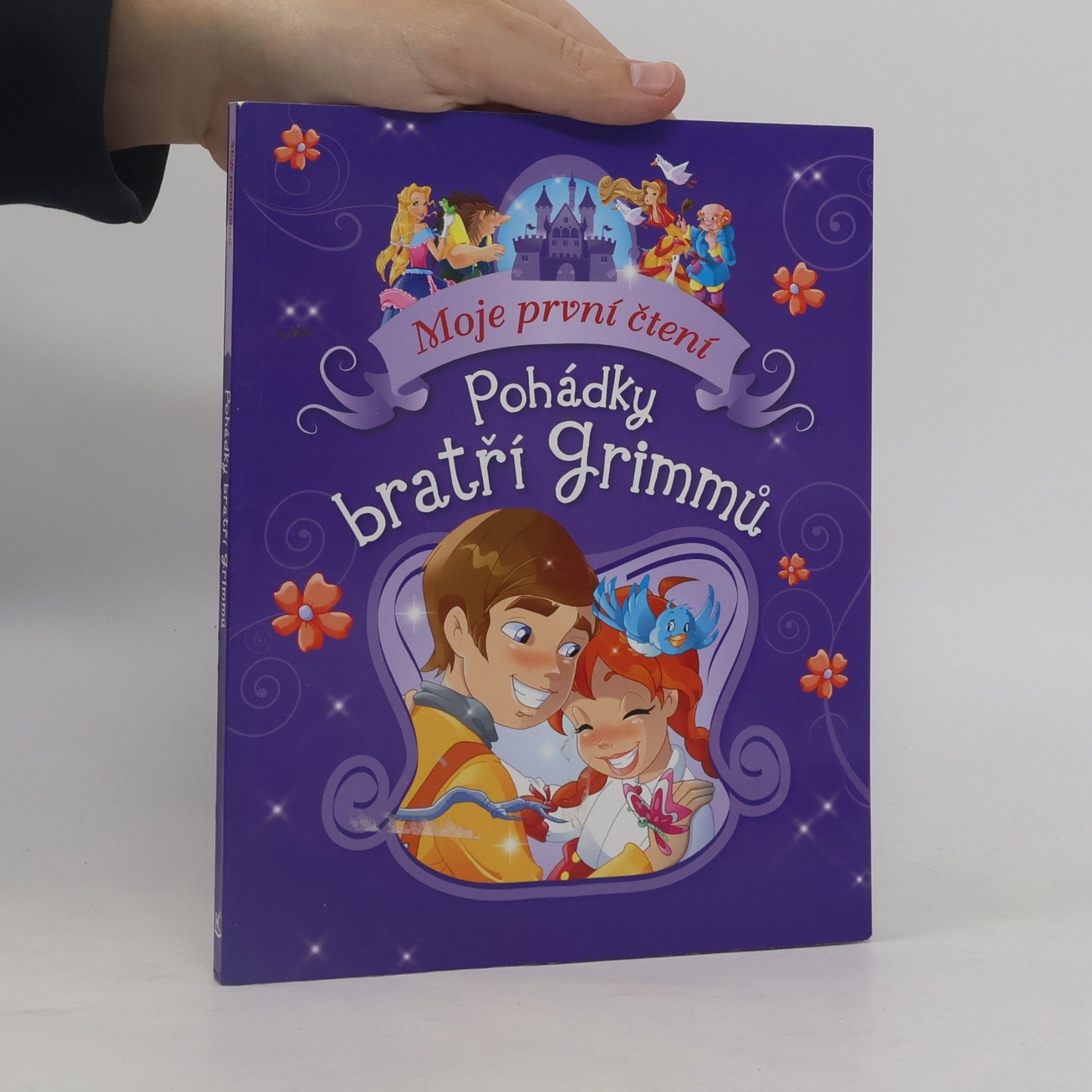 Pohádky bratří Grimmů