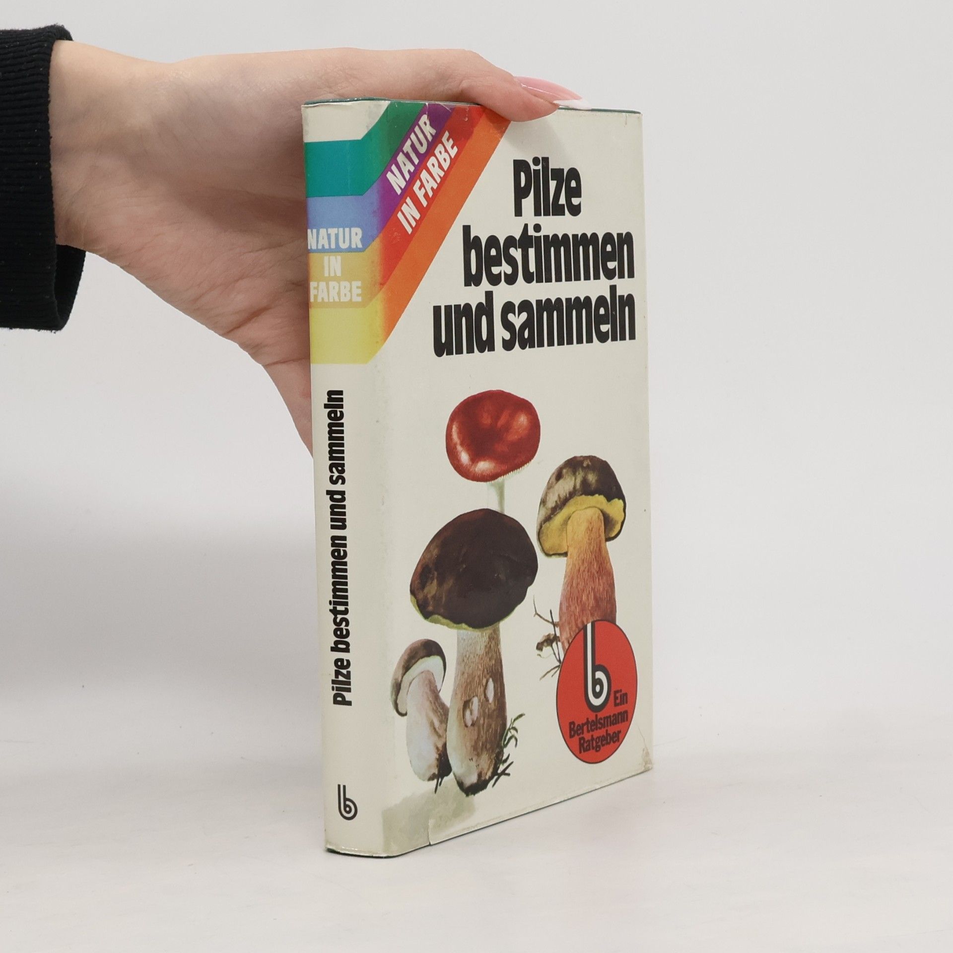 Pilze bestimmen und sammeln