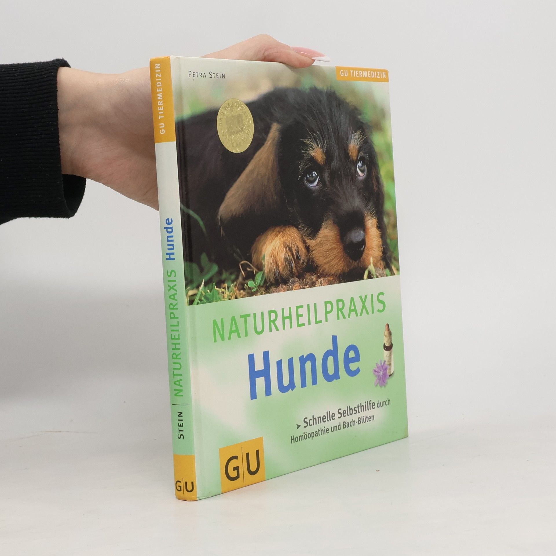 Petra Stein NaturheilPraxis Hunde