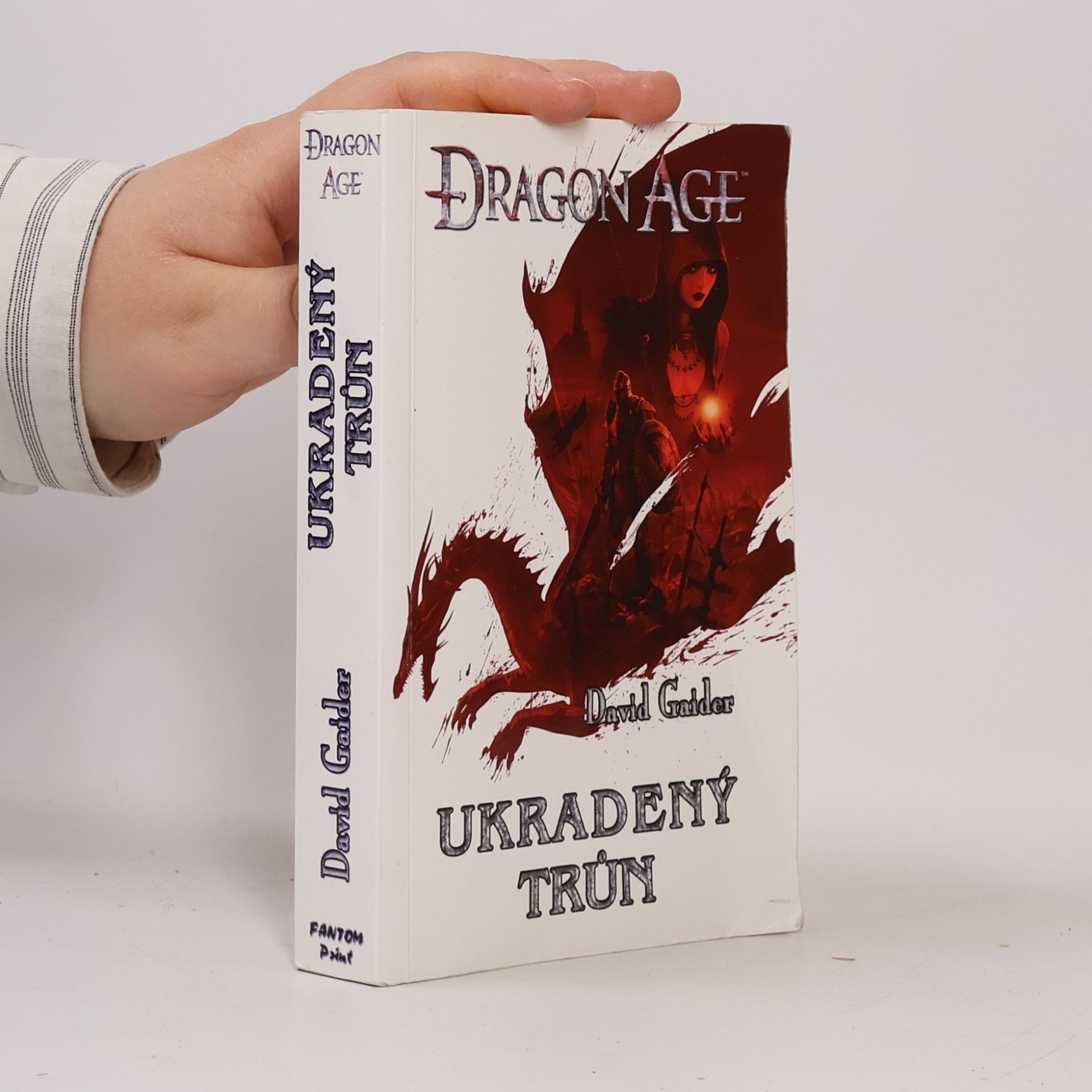 Dragon age. Ukradený trůn
