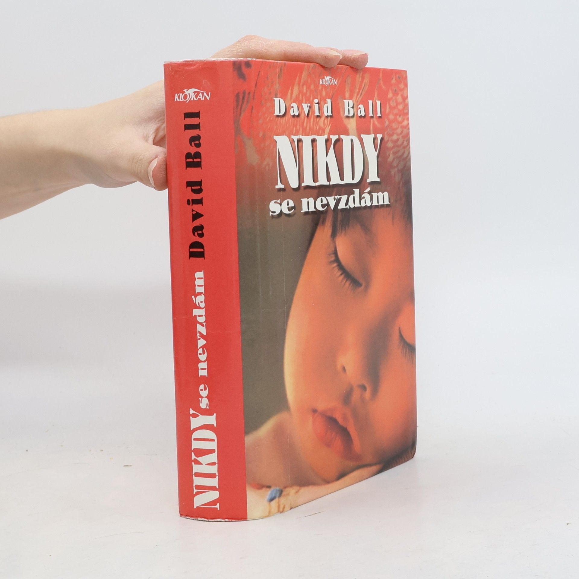 Nikdy se nevzdám