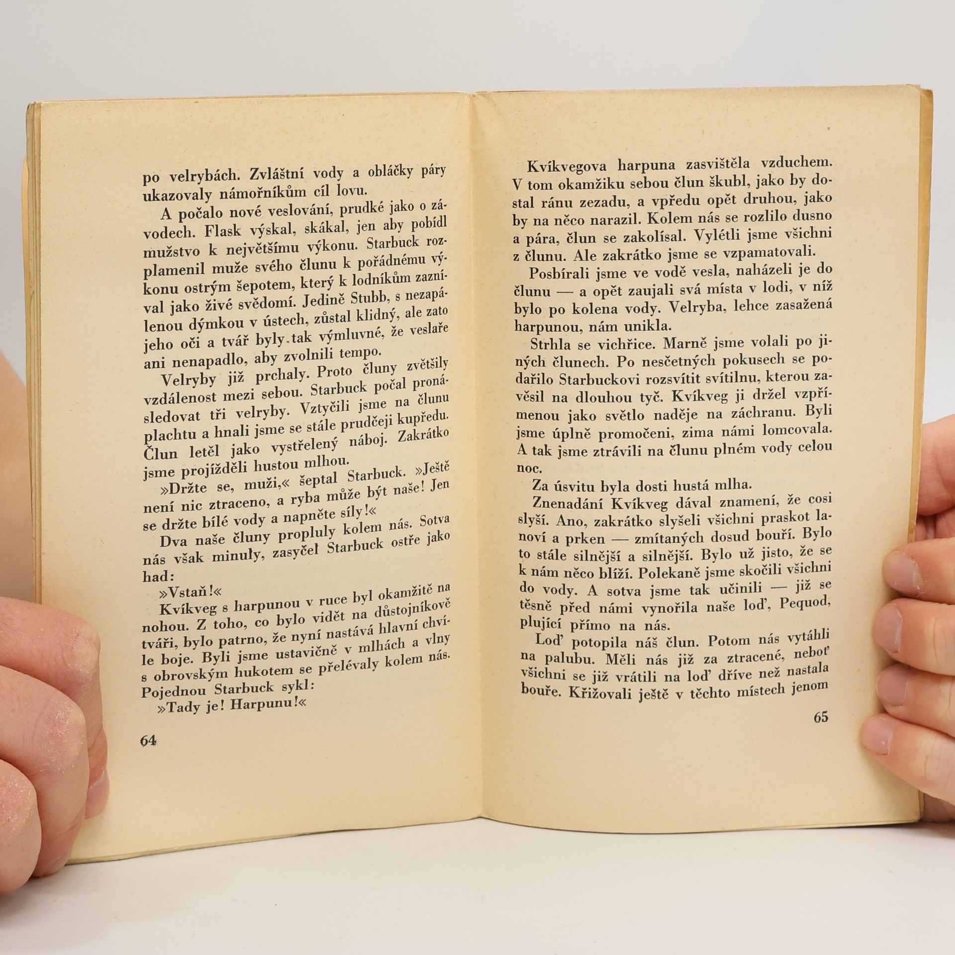 H. Melville Bílá velryba 7