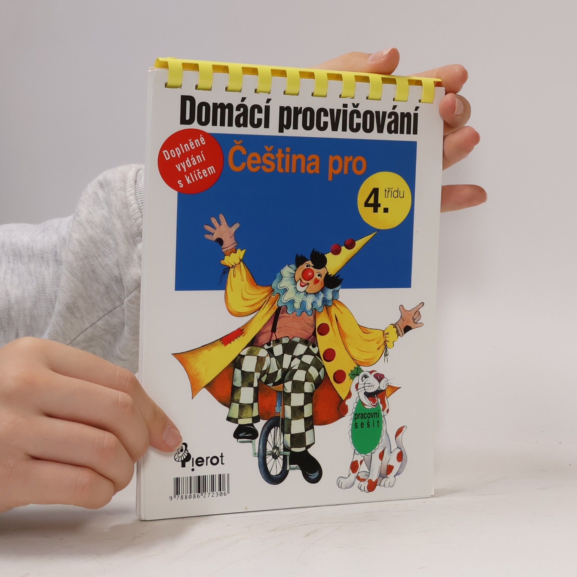 Čeština pro 4. třídu. Pracovní sešit