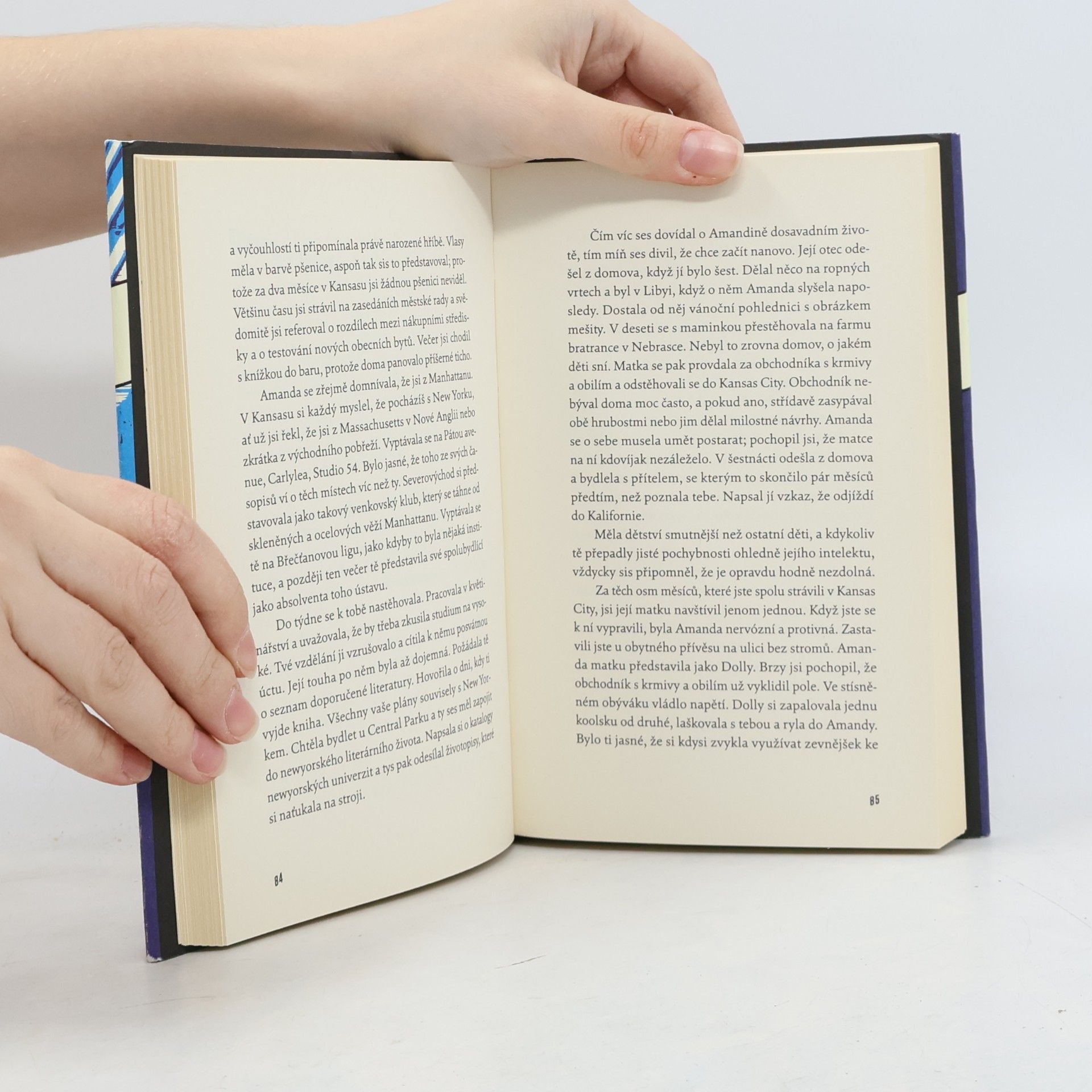 Jay McInerney Zářivá světla velkoměsta