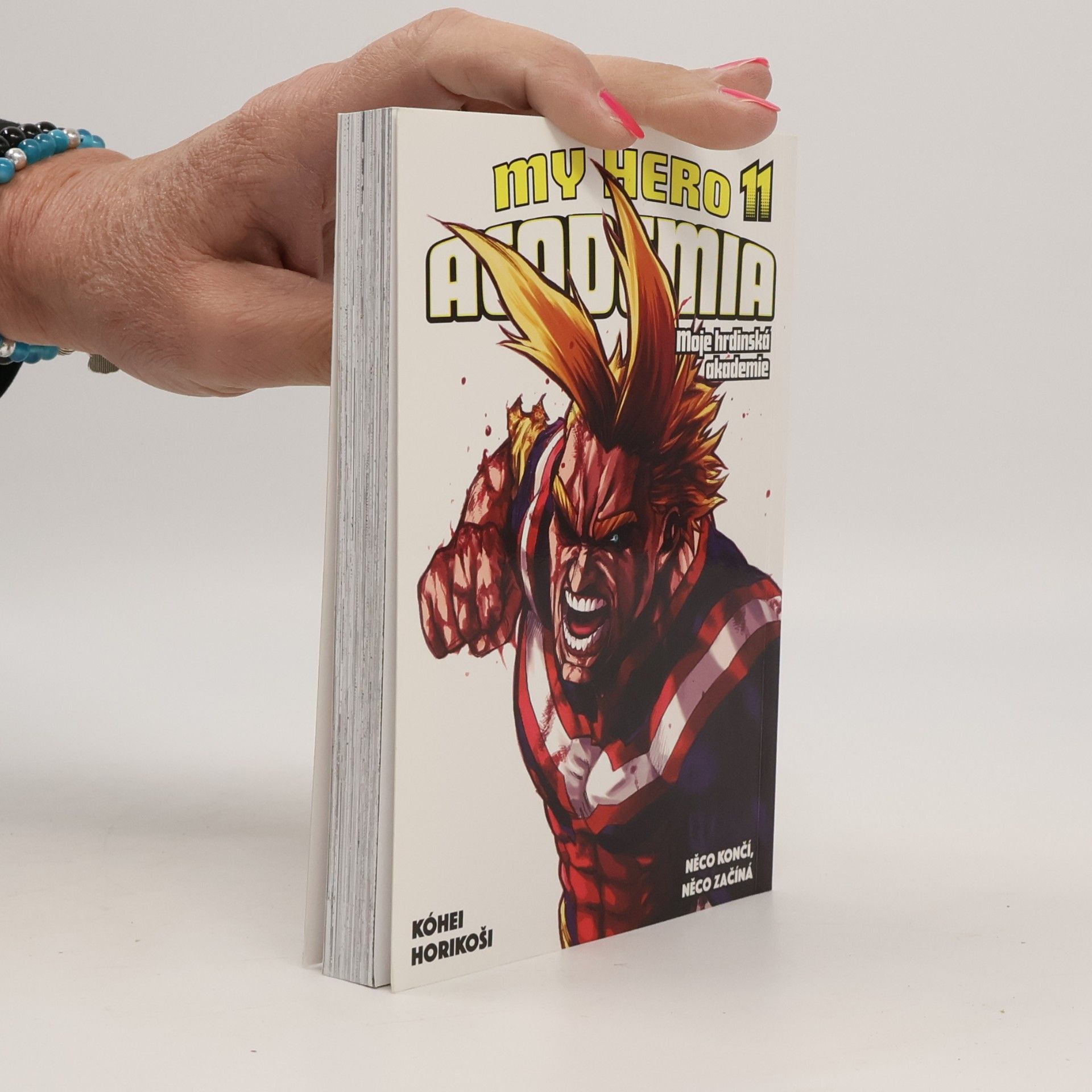 Eliška Nováková My hero academia. Moje hrdinská akademie. Sv. 11, Něco končí, něco začíná