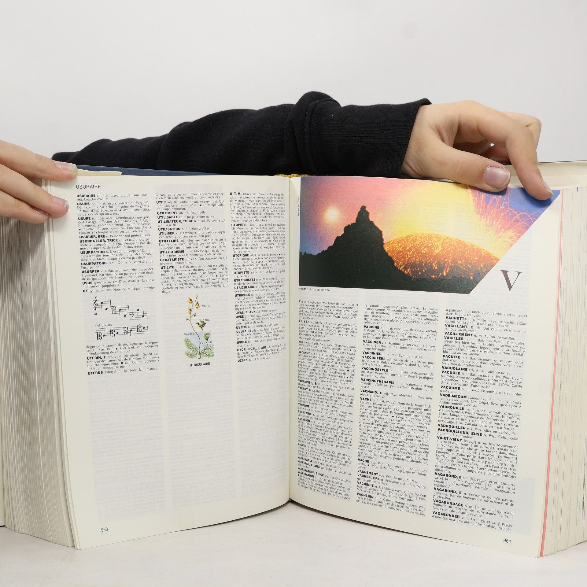 Various authors Petit Larousse en couleurs
