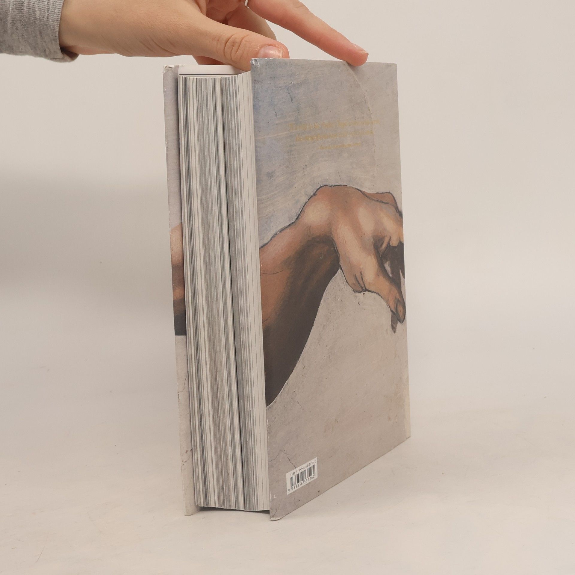 Frank Zöllner Michelangelo. The Complete Paintings, Sculptures and Arch.