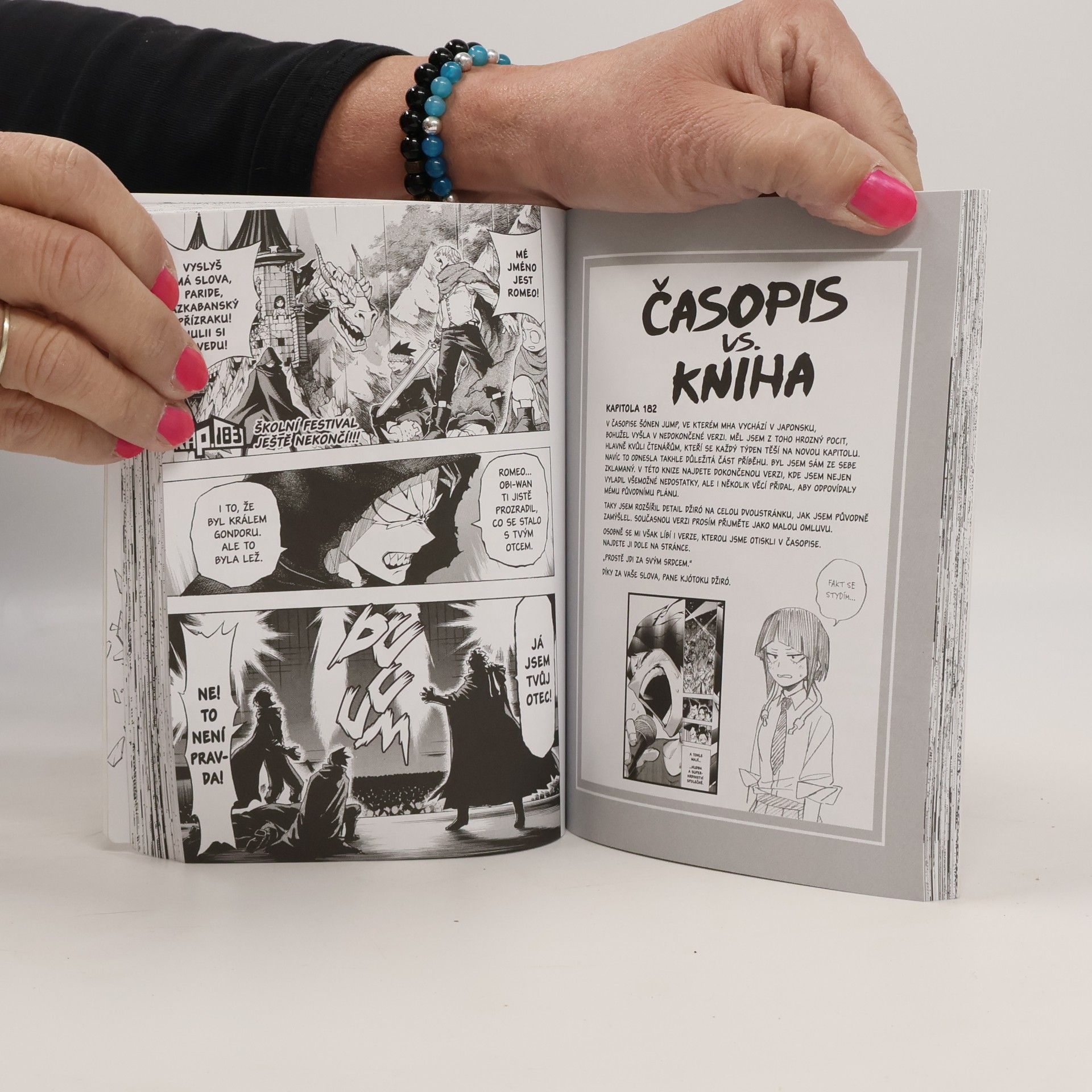 Matěj Vozábal My Hero Academia. Moje hrdinská akademie 20. Školní festival začíná