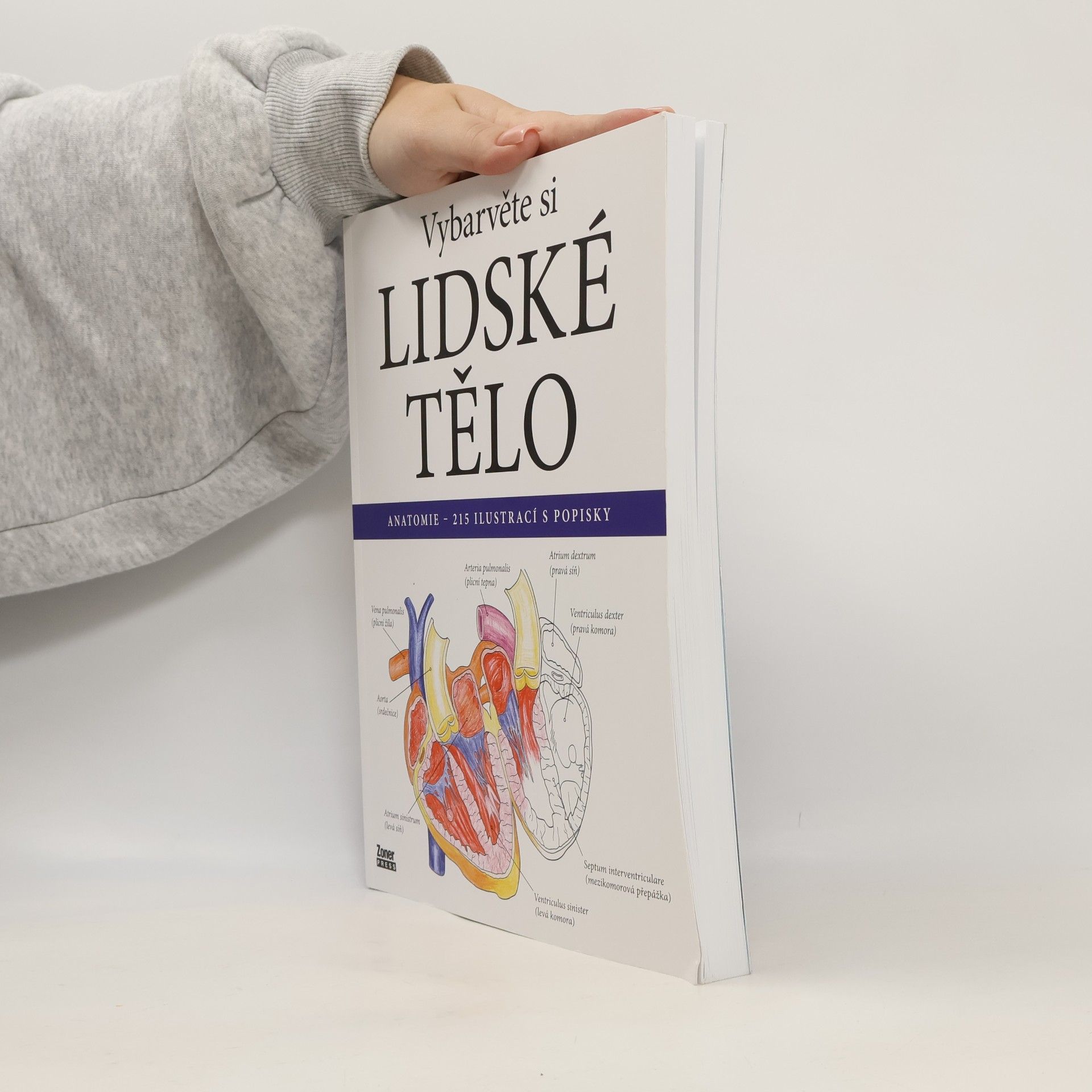 Vybarvěte si lidské tělo : anatomie - 215 ilustrací s popisky