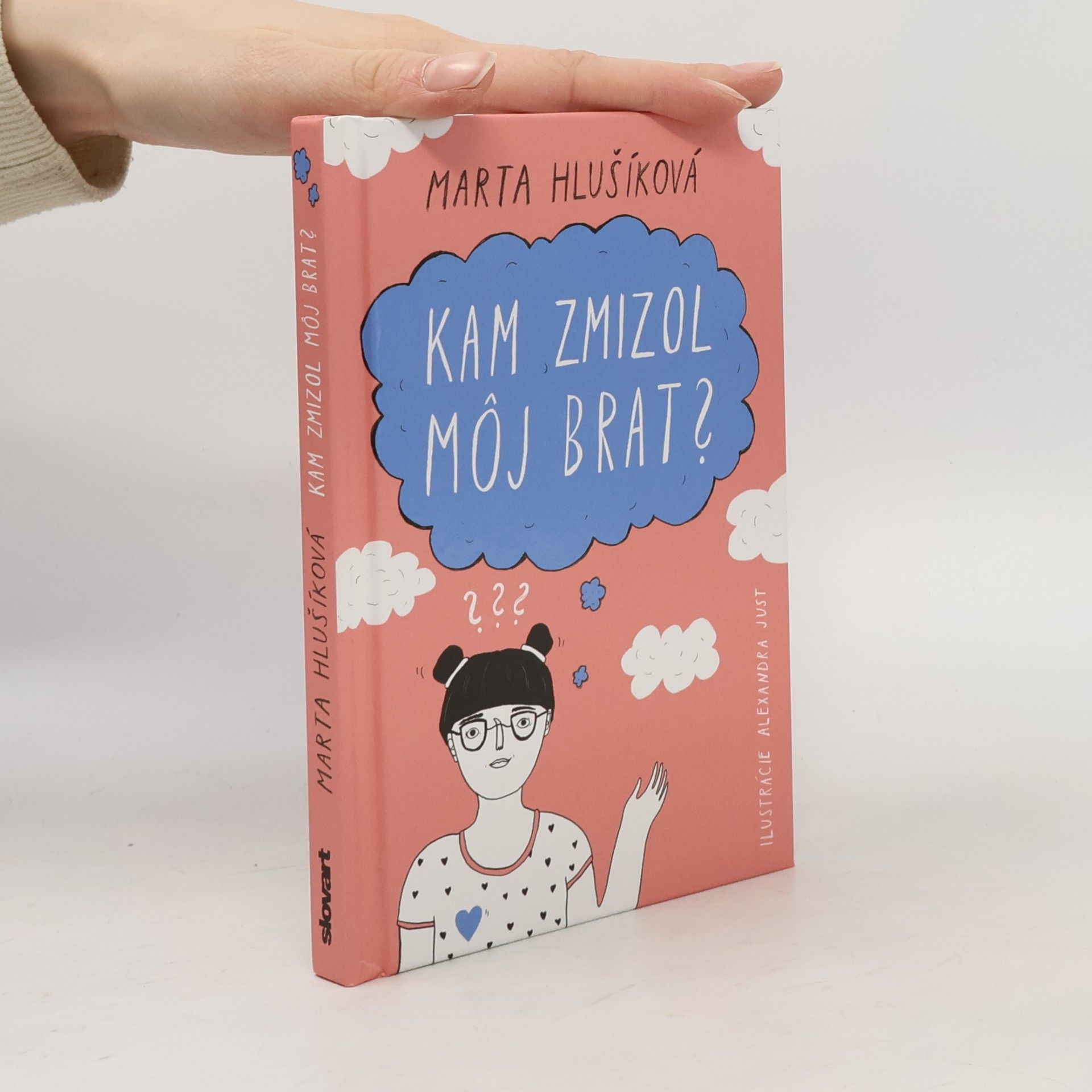 Kam zmizol môj brat?