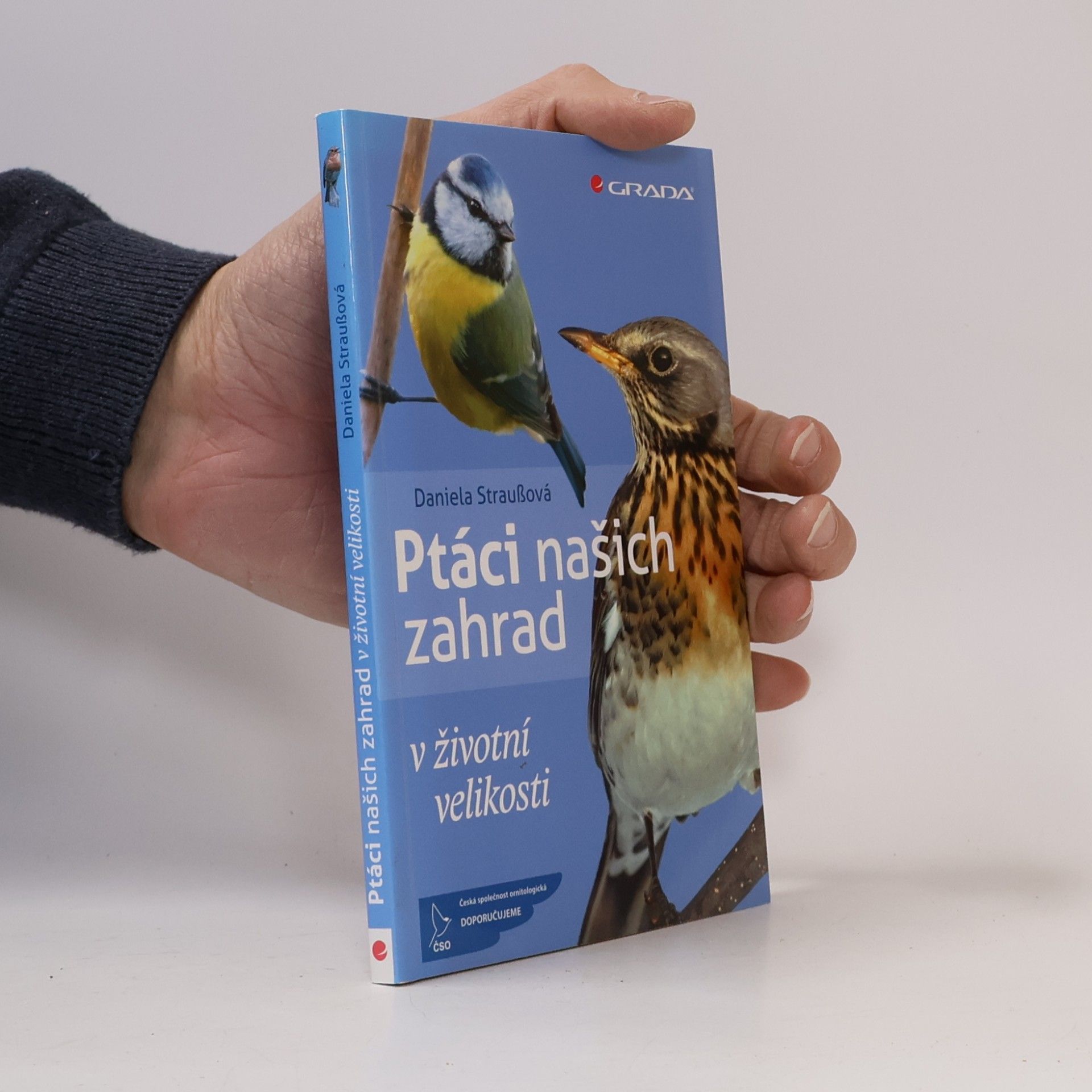 Ptáci našich zahrad : v životní velikosti