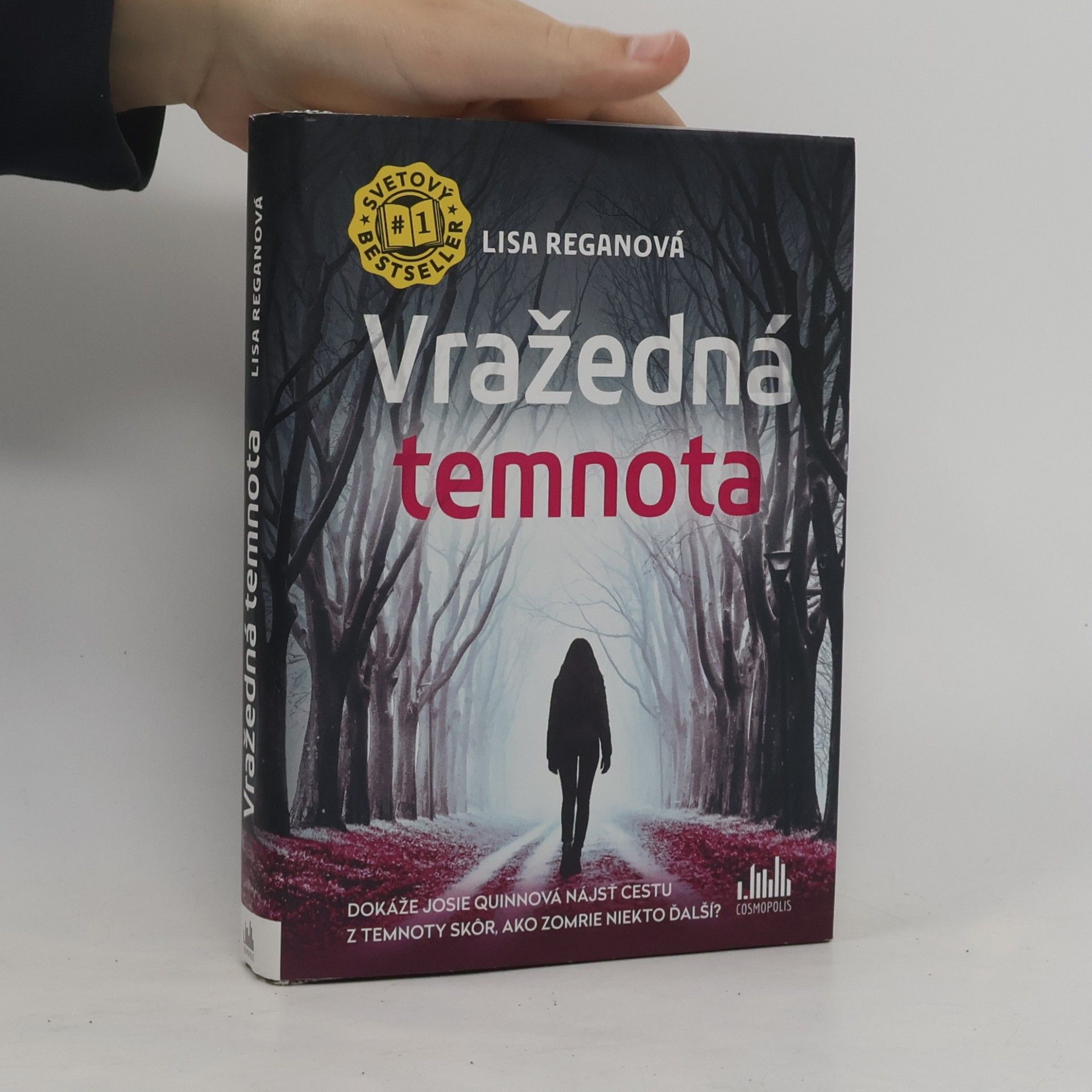 Lisa Regan Vražedná temnota