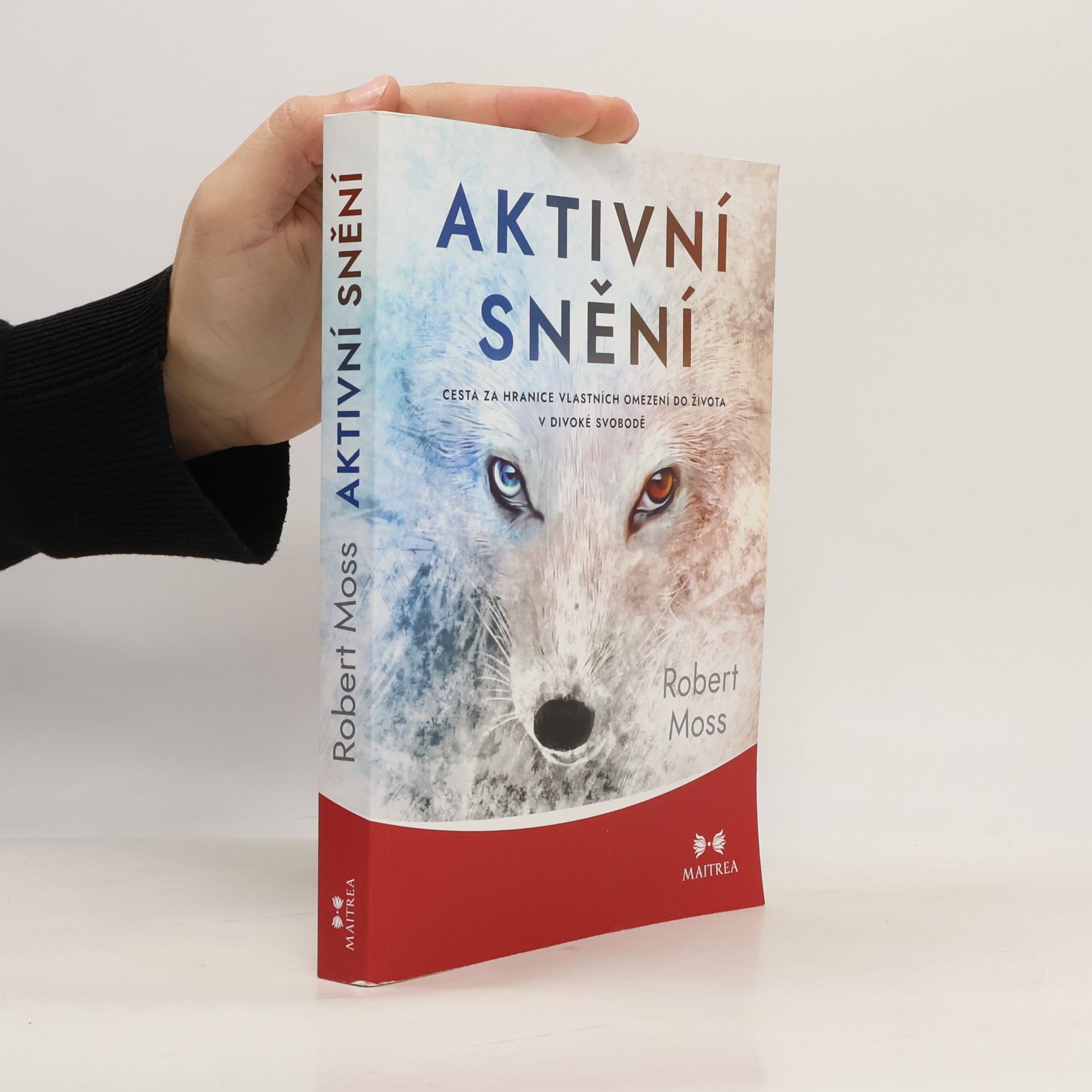 Aktivní snění