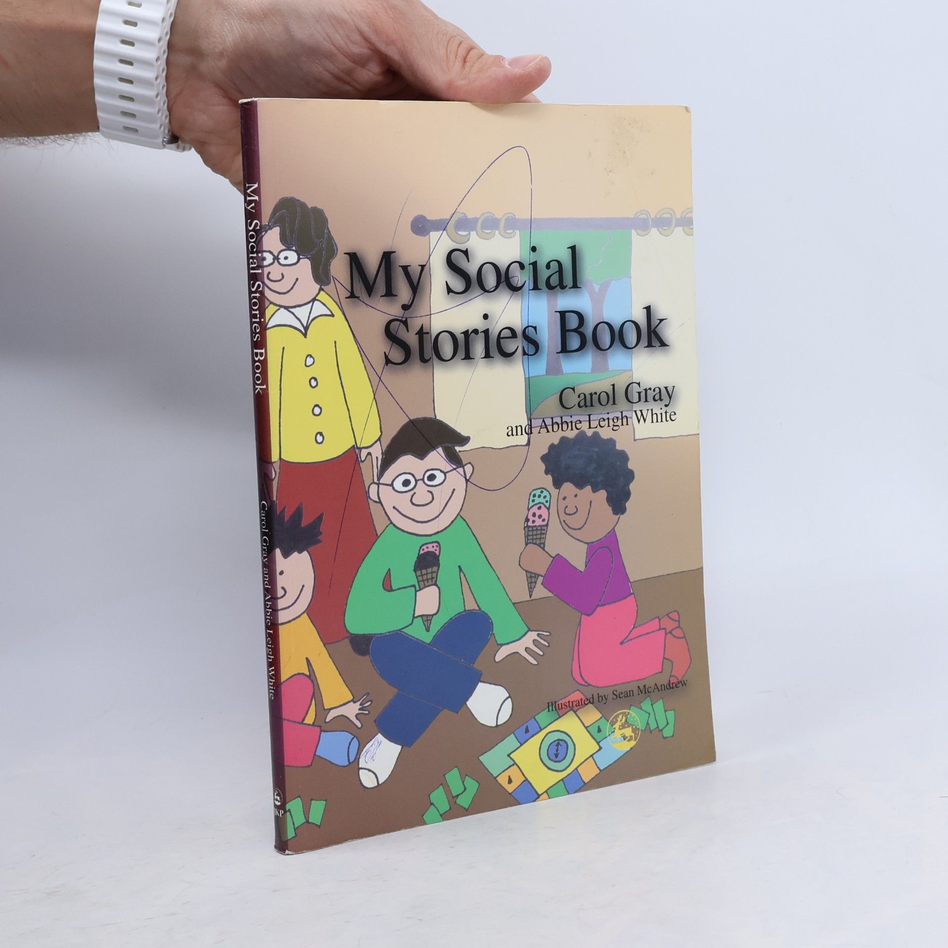 Carol Gray My Social Stories Book
