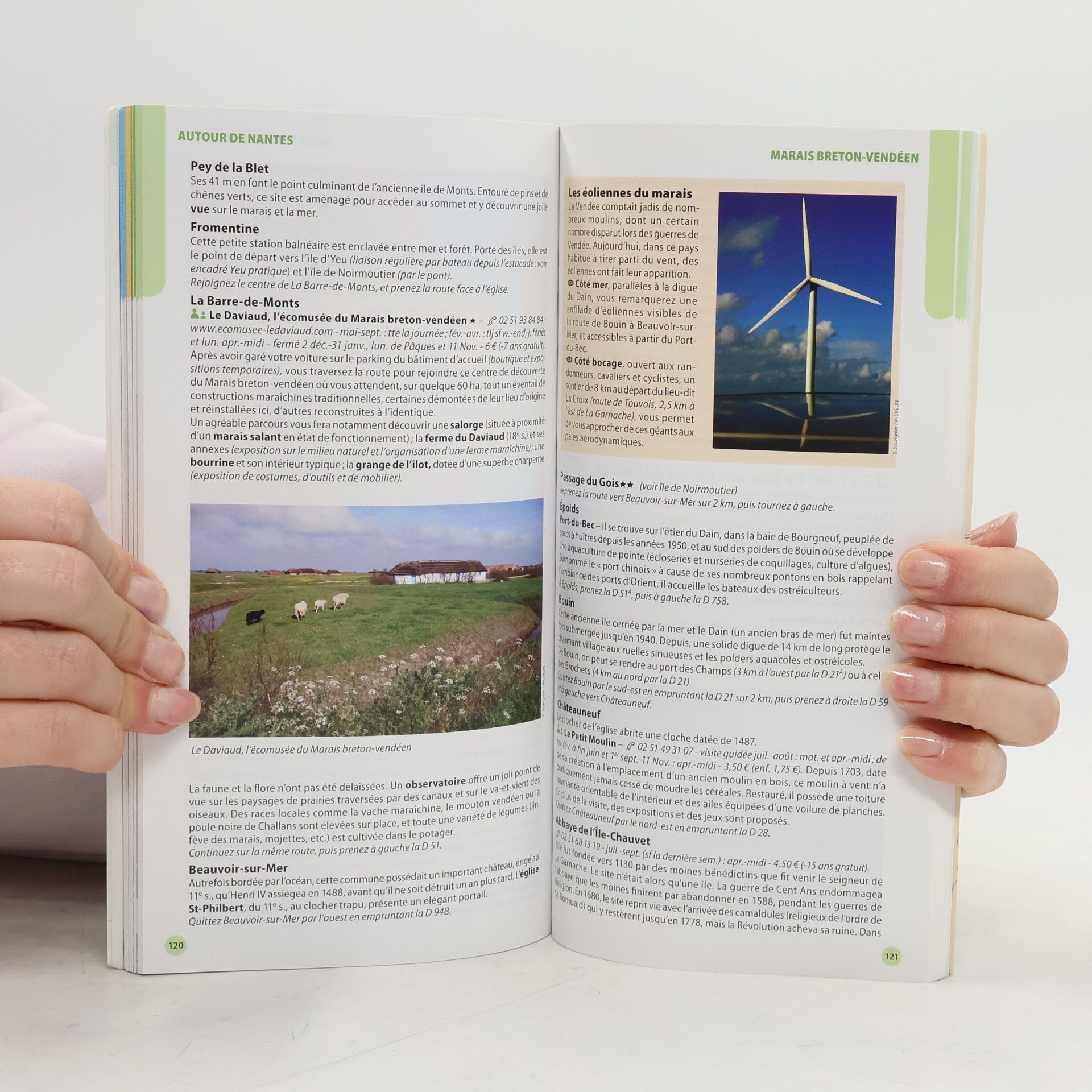 Guides Touristiques Michelin Le Guide Vert: Nantes