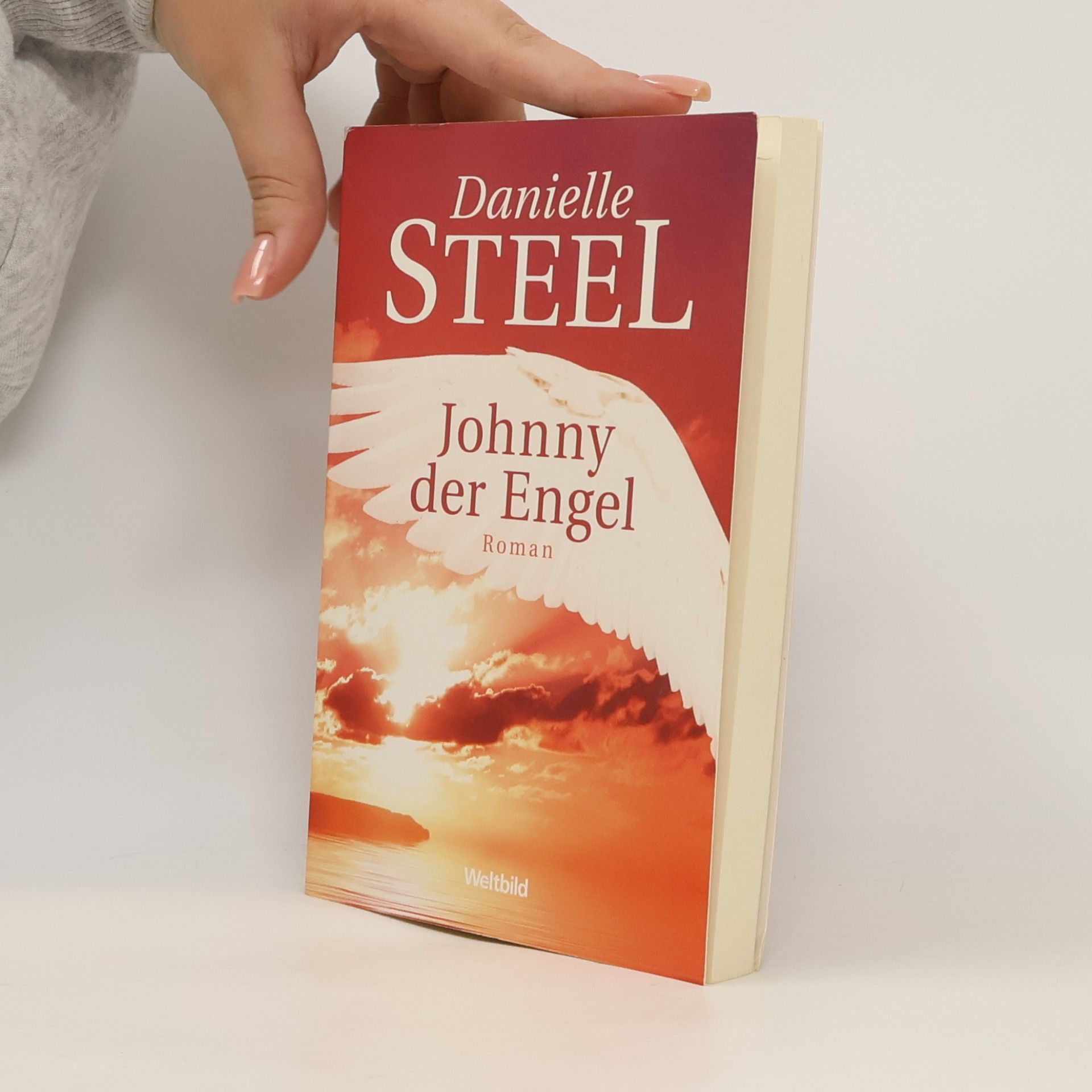Danielle Steel Johnny der Engel