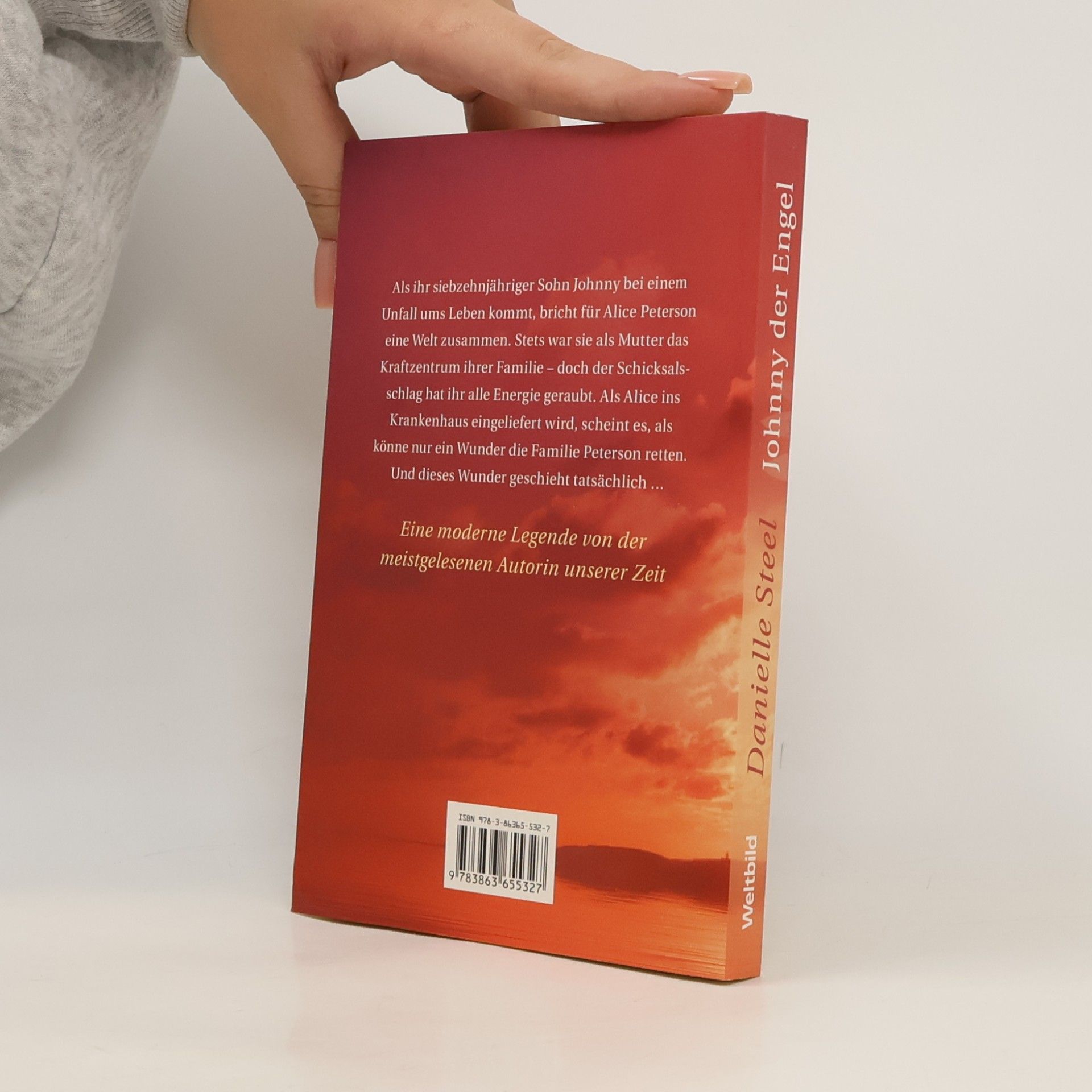 Danielle Steel Johnny der Engel