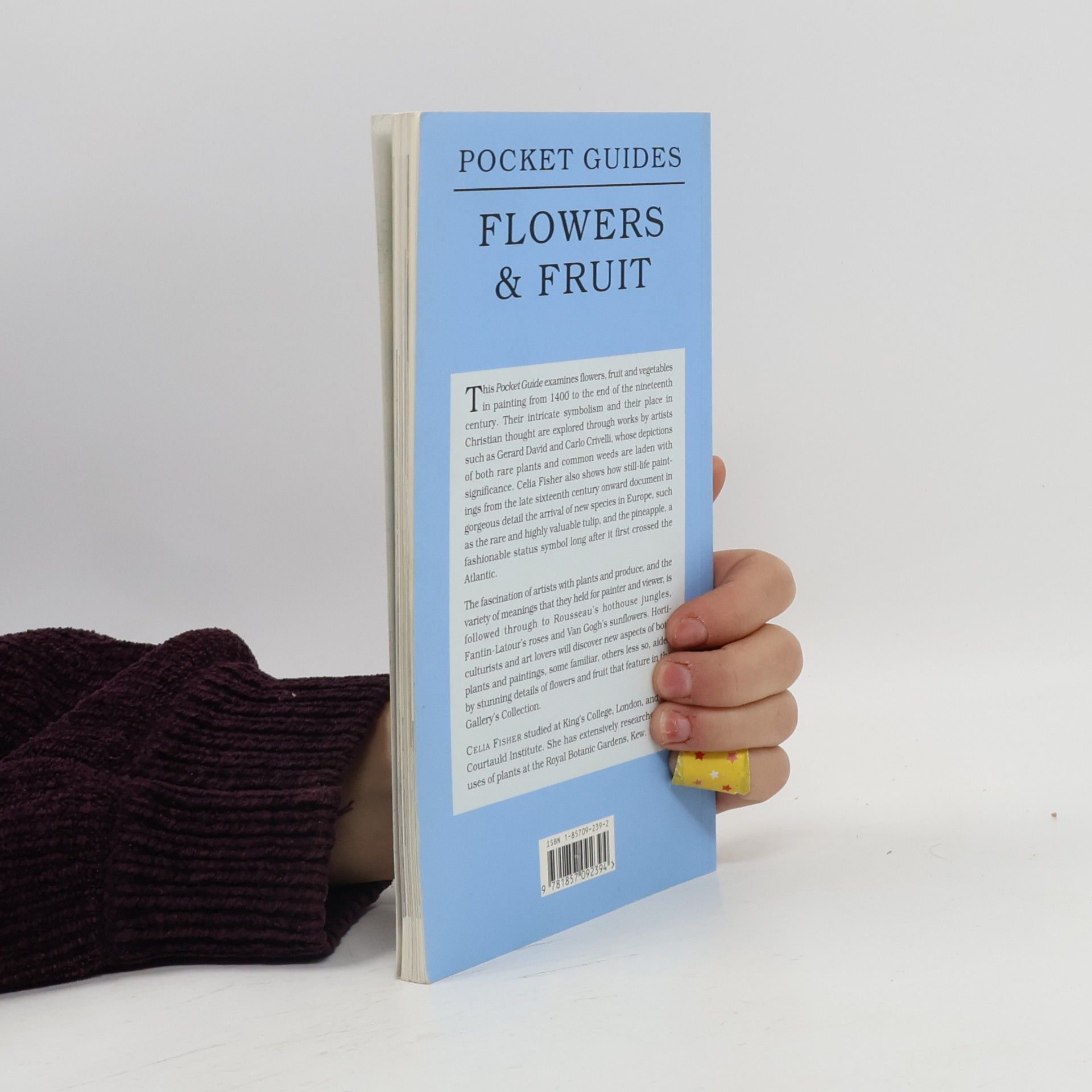 Celia Fisher Flowers and Fruit