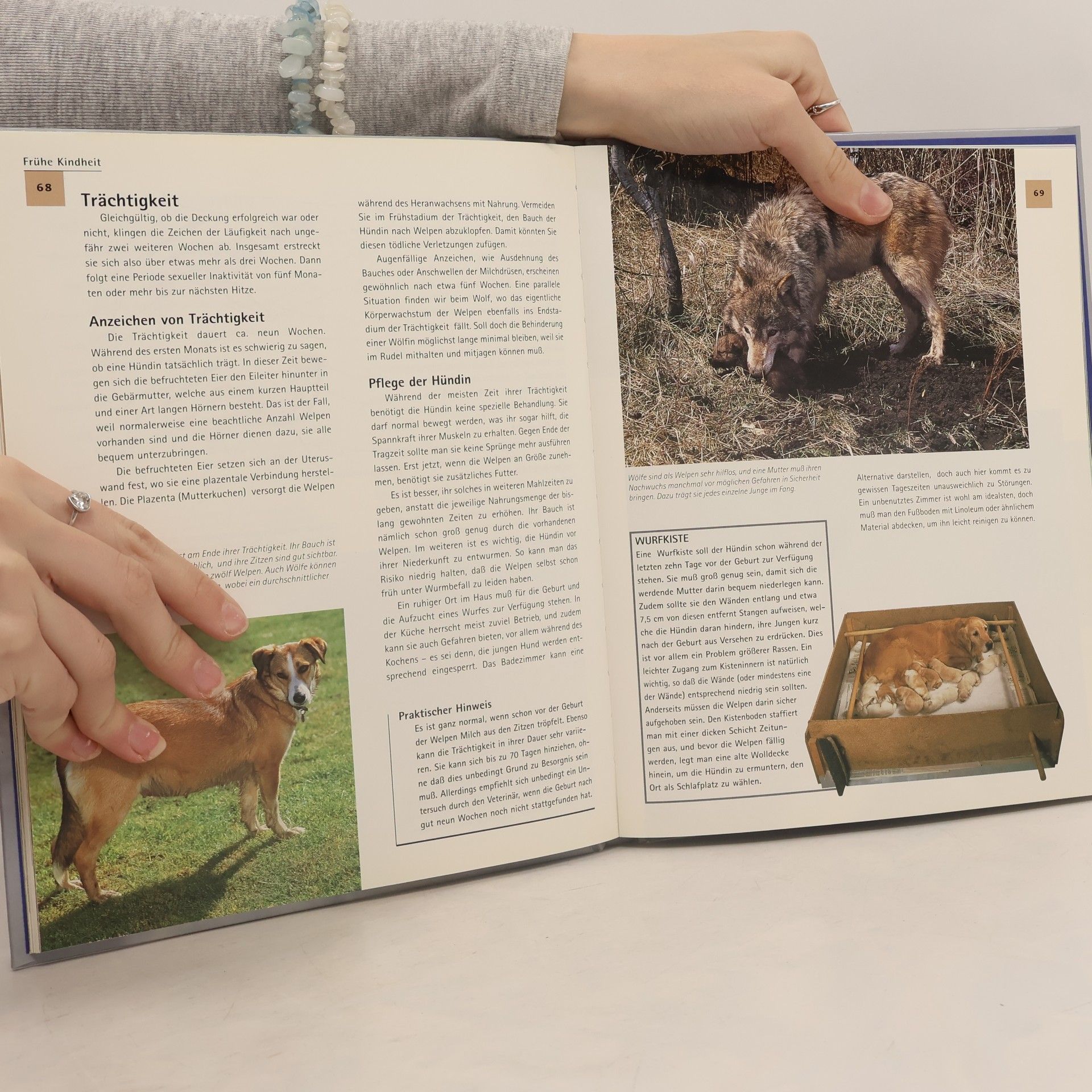 David Alderton Der Hund - am Anfang war der Wolf