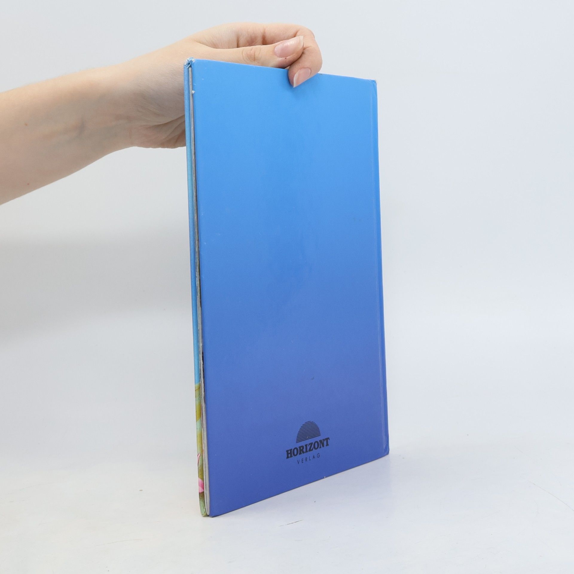 Autores varios Arielle und der kleine Wal